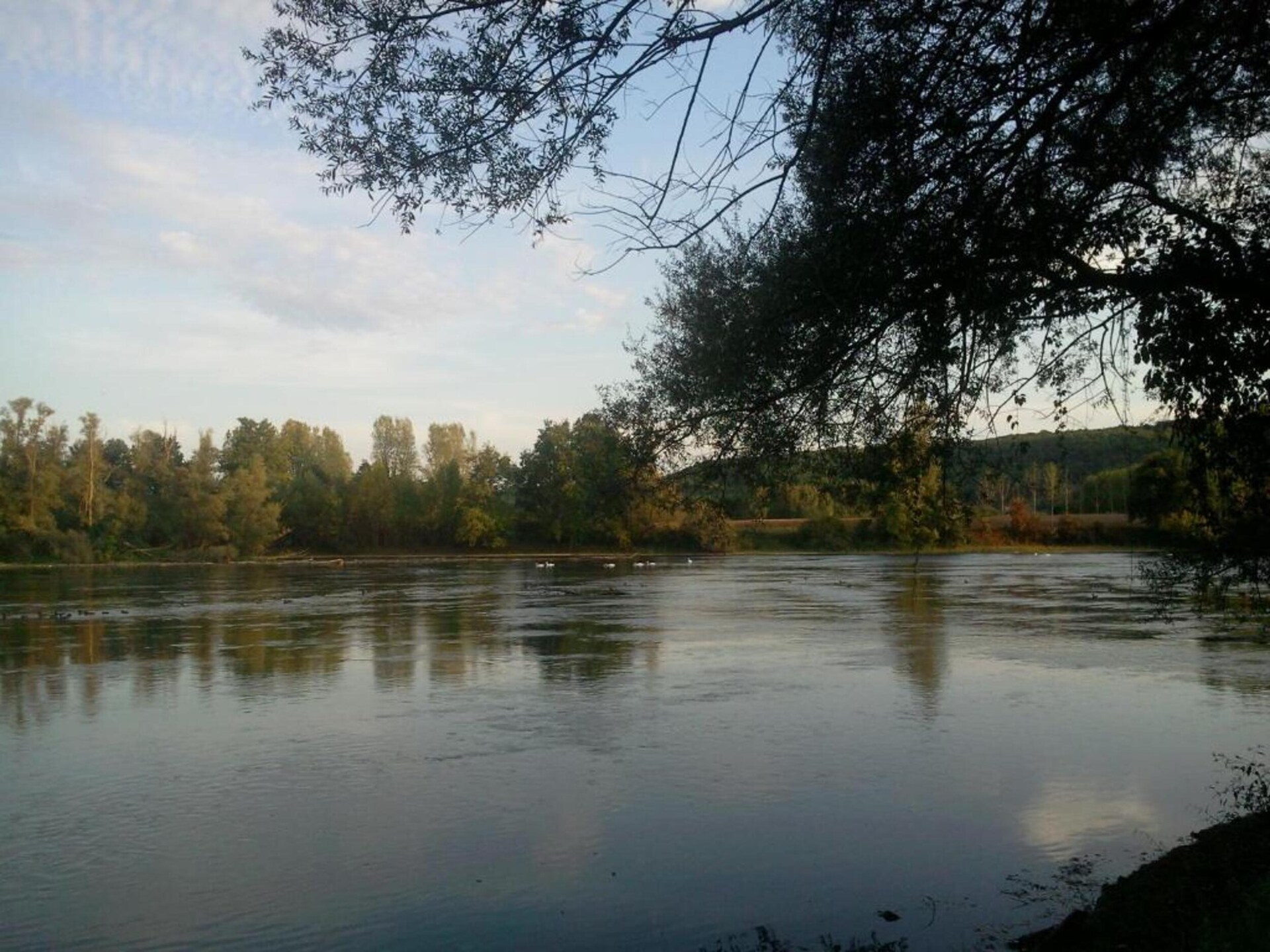 Knus vrijstaand huisje voor 2 in het bos van Berbiguières, Dordogne - foto 25
