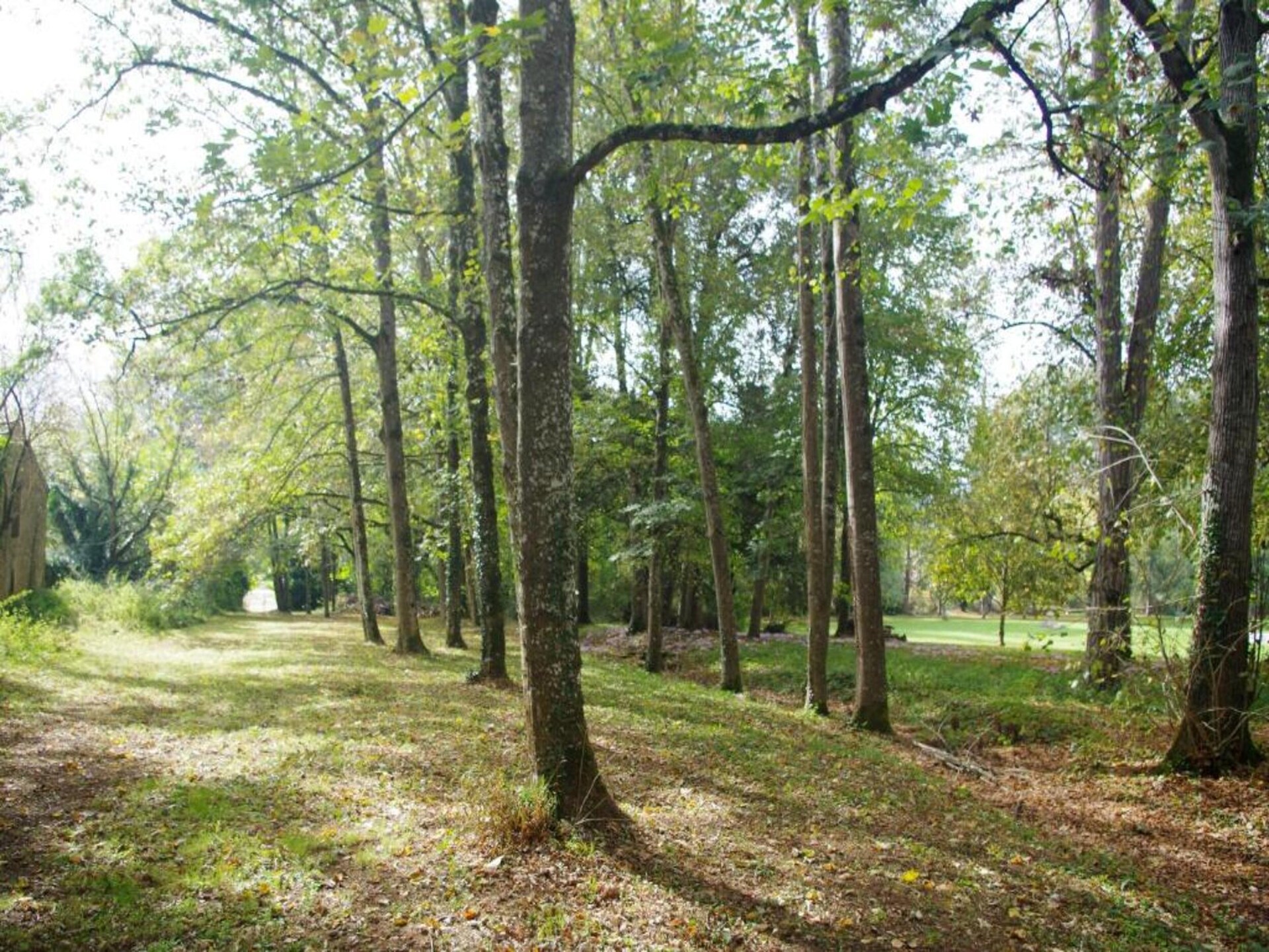 Knus vrijstaand huisje voor 2 in het bos van Berbiguières, Dordogne - foto 28