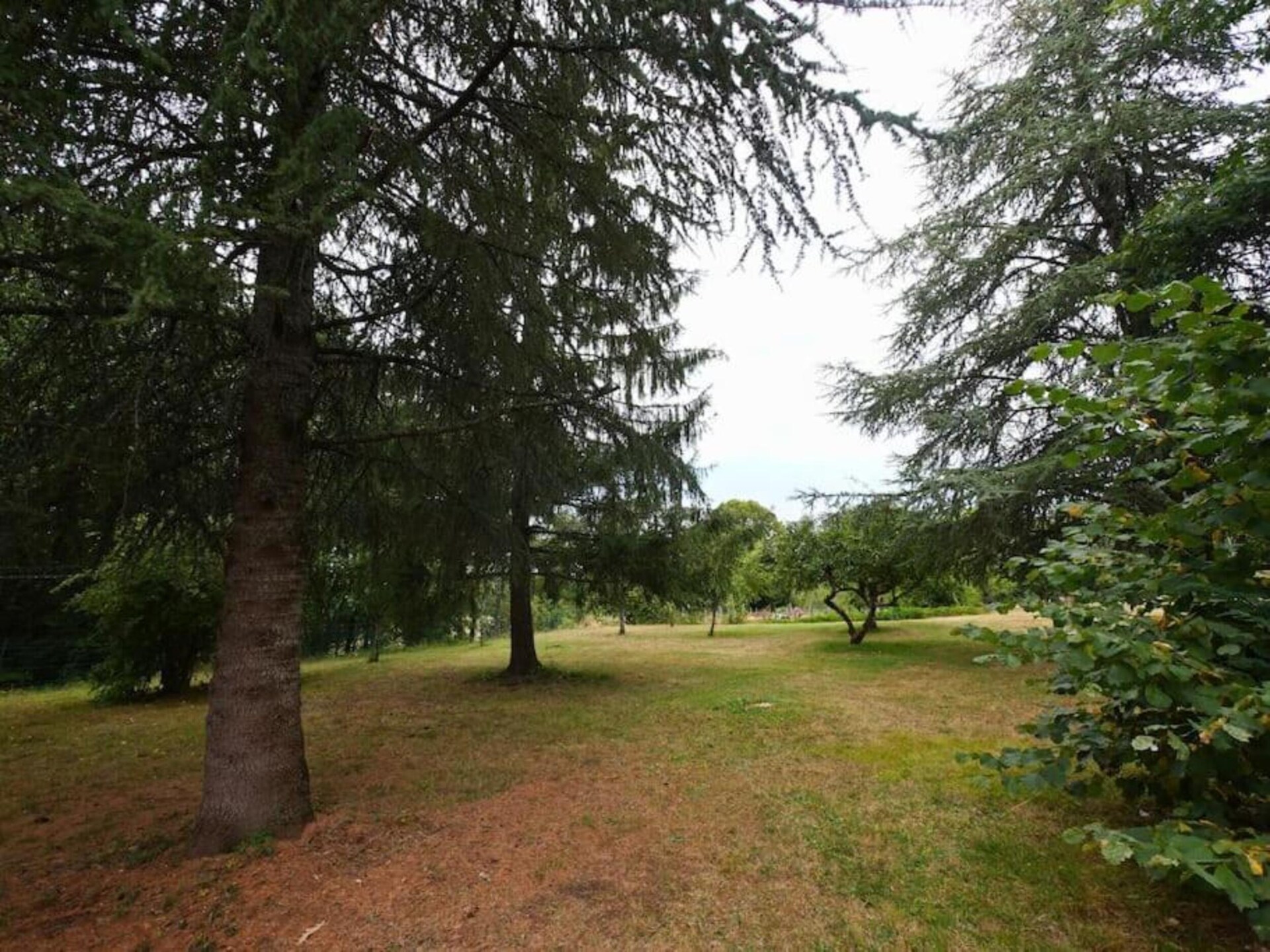 Knus vrijstaand huisje voor 2 in het bos van Berbiguières, Dordogne - foto 29