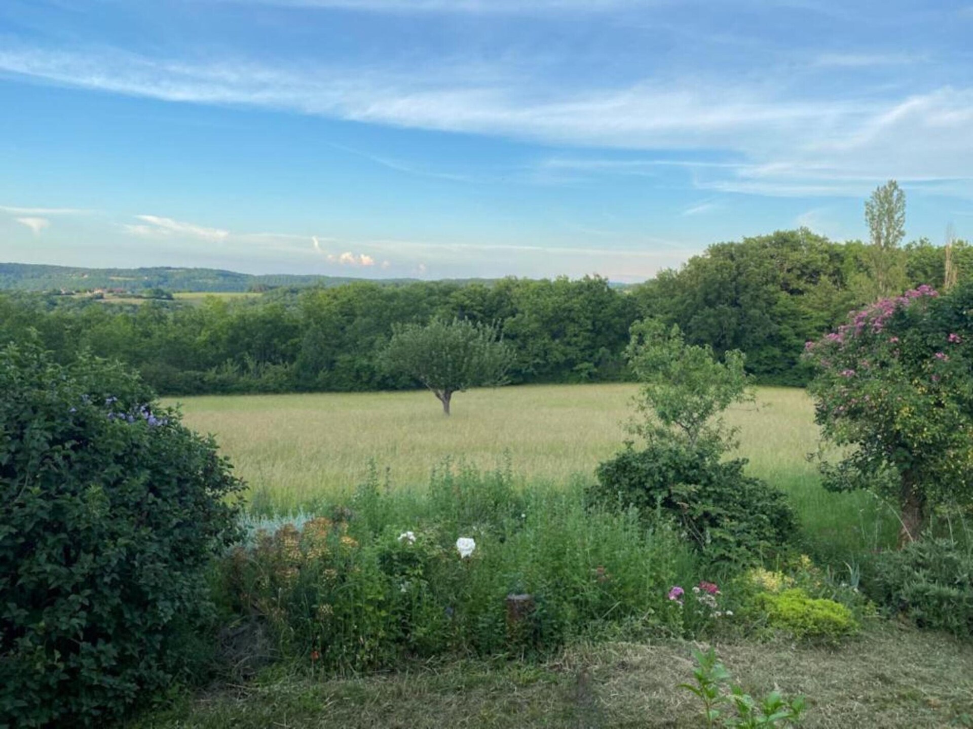 Knus vrijstaand huisje voor 2 in het bos van Berbiguières, Dordogne - foto 38