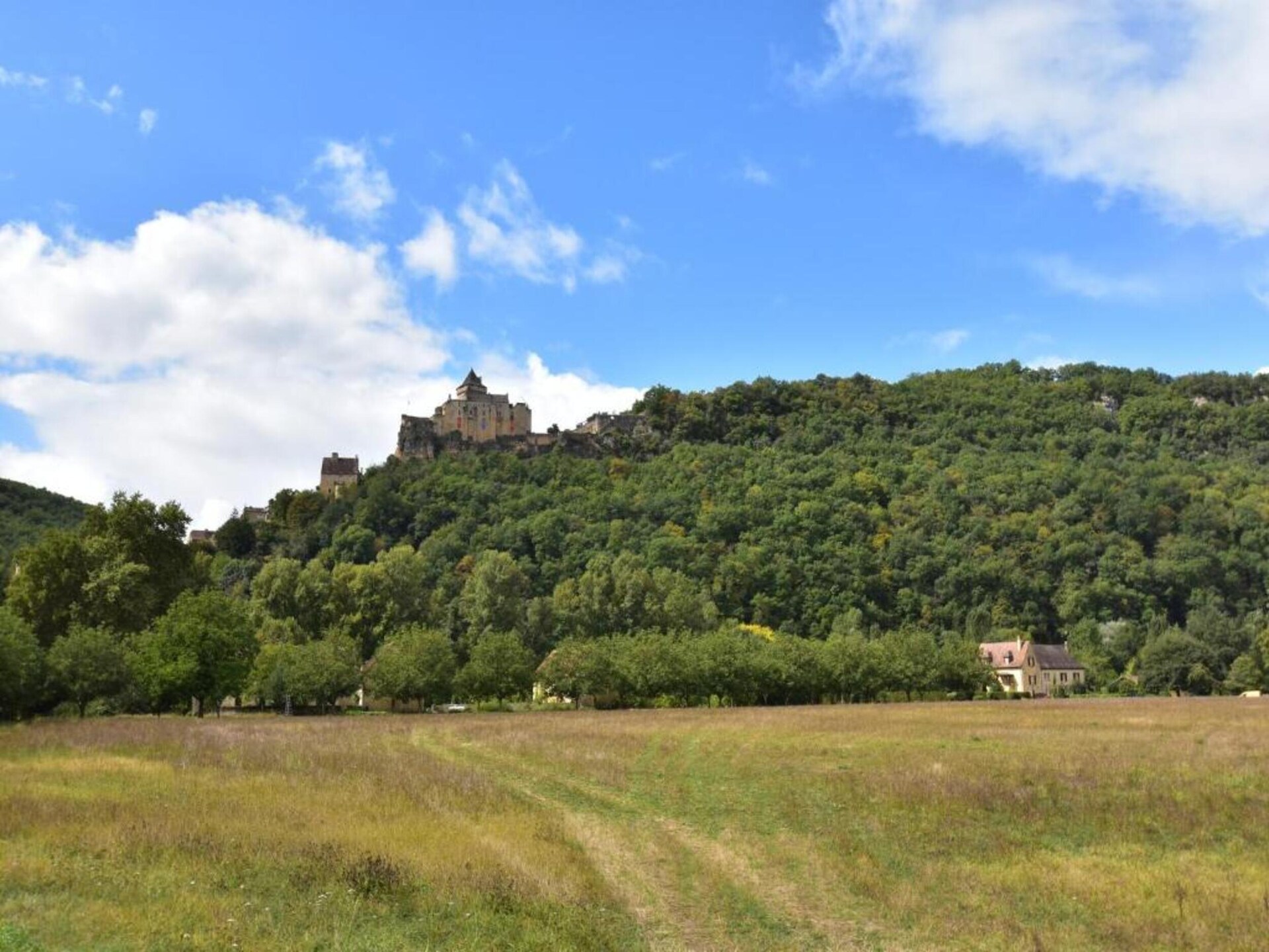 Knus vrijstaand huisje voor 2 in het bos van Berbiguières, Dordogne - foto 40