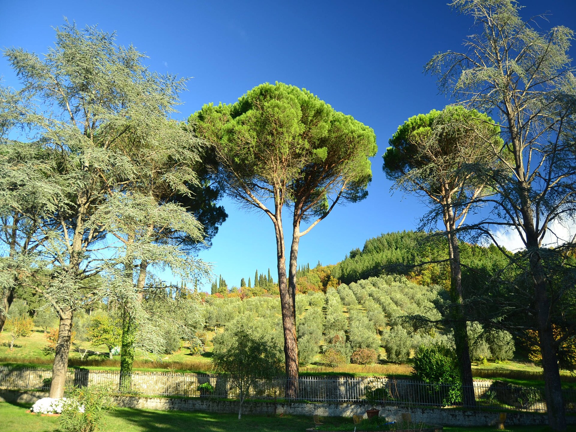 Vrijstaand Toscaans vakantiehuis voor 8 personen met zwembad nabij Dicomano - foto 16