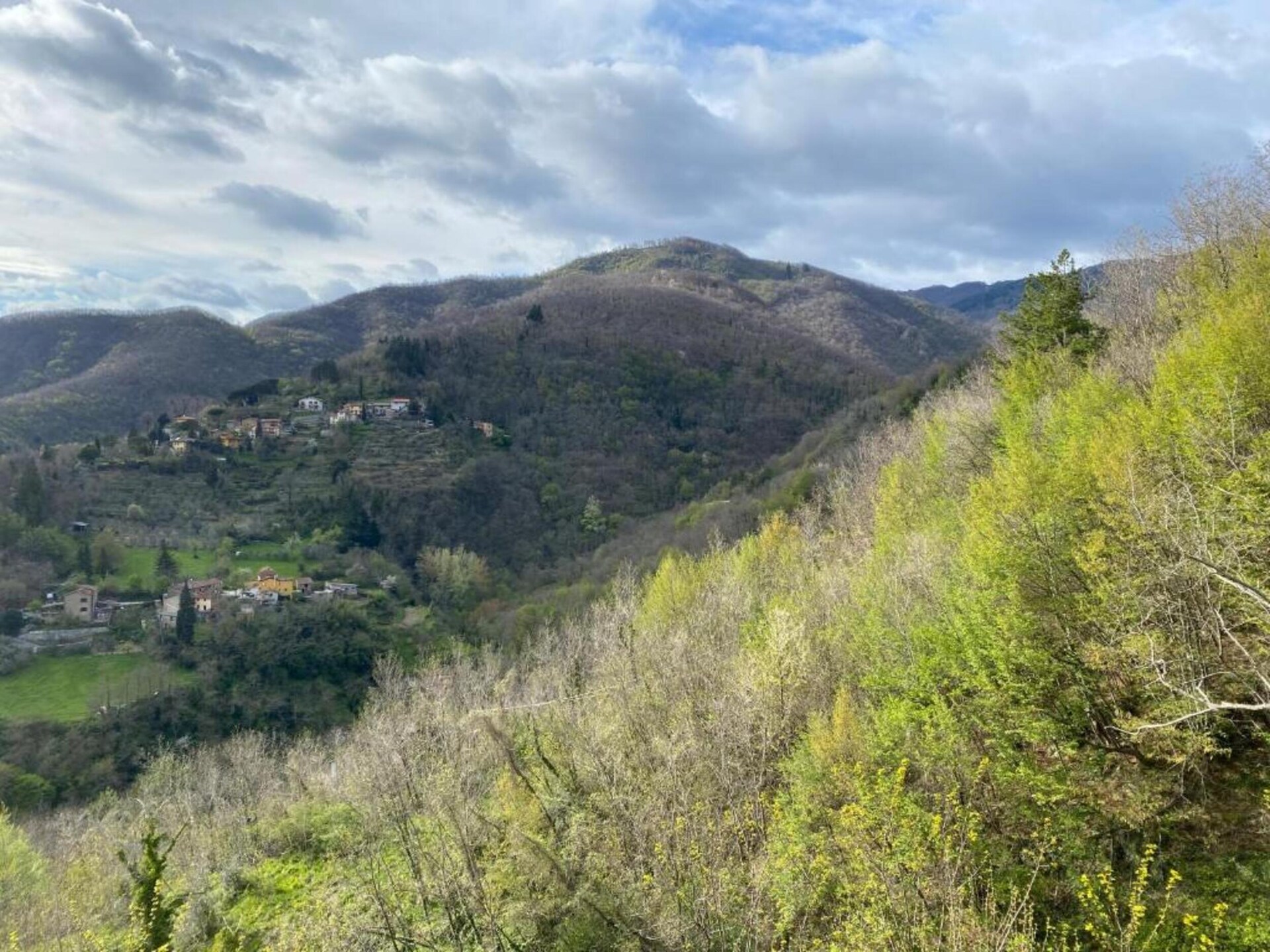 Villa Vivai: Ruim Toscaans vakantiehuis voor 12 personen met zwembad bij Dicomano - foto 38
