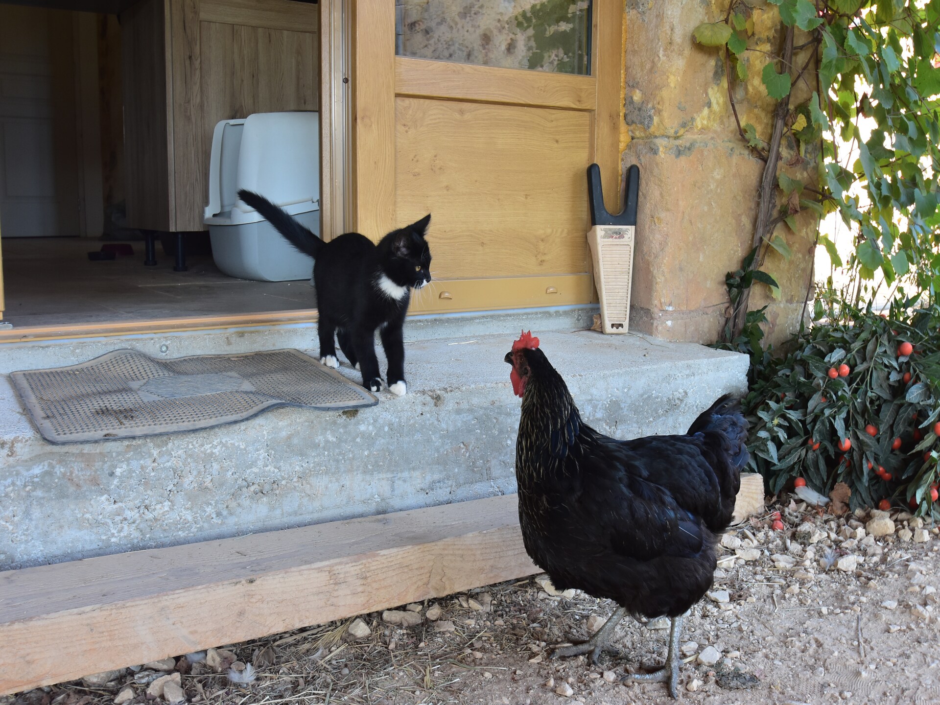 Vrijstaand vakantiehuis nabij golfbaan in Montferrand-du-Périgord - foto 30