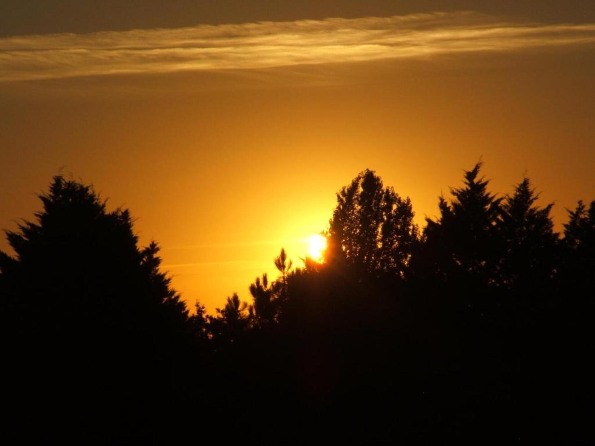 Vrijstaand vakantiehuis nabij golfbaan in Montferrand-du-Périgord - foto 35
