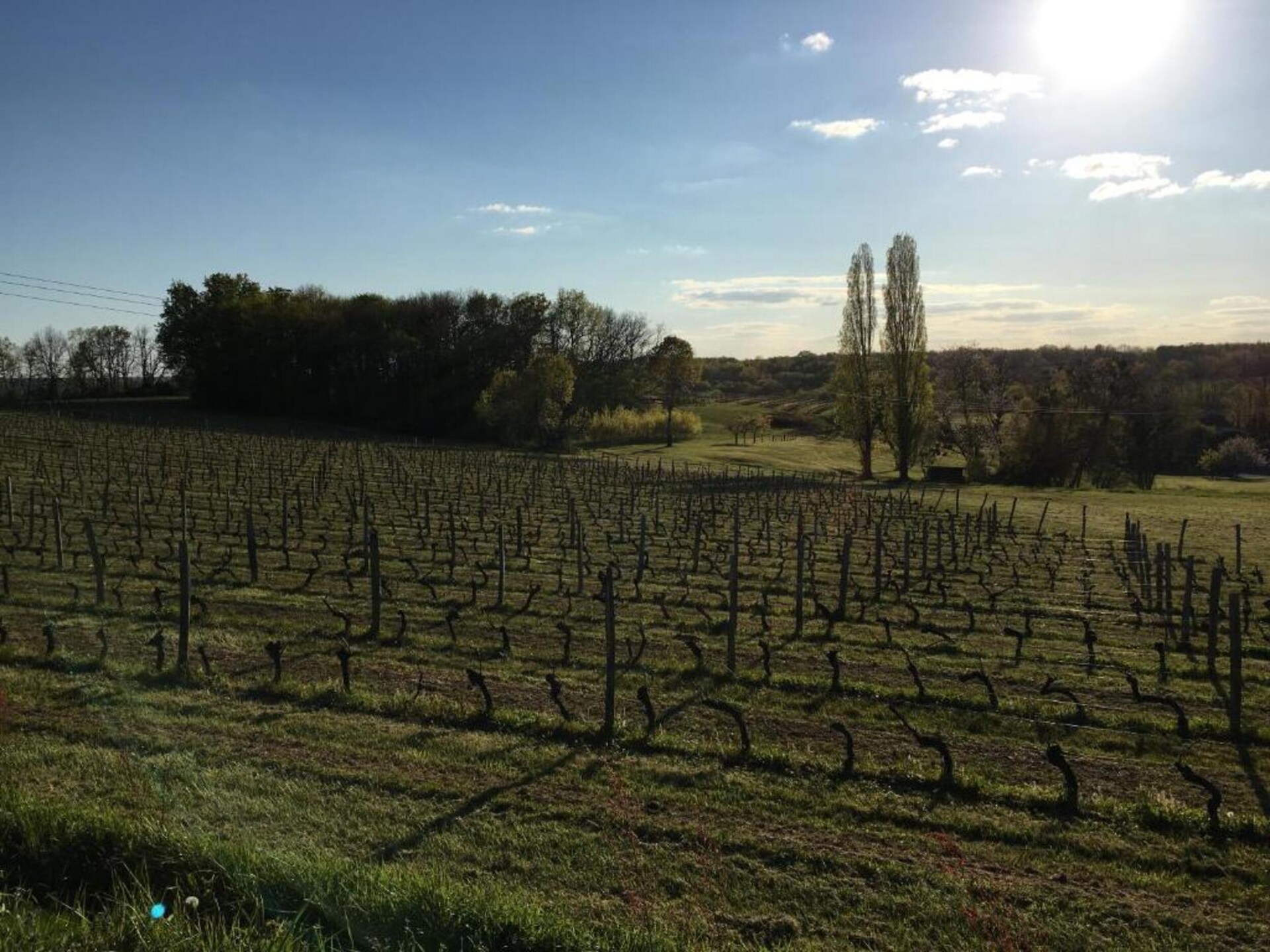 Vrijstaand vakantiehuis nabij golfbaan in Montferrand-du-Périgord - foto 40