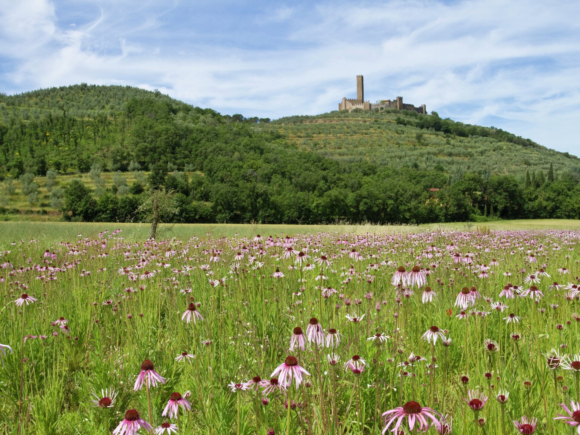 Sfeervol vakantiehuis Montecchio in Castiglion Fiorentino - foto 36
