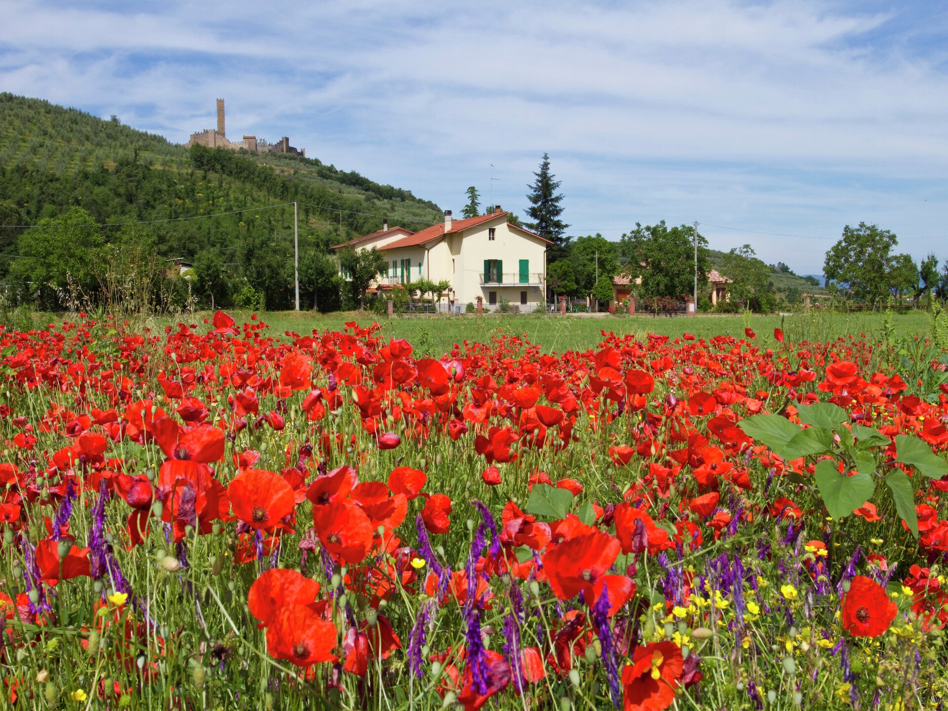 Sfeervol vakantiehuis Montecchio in Castiglion Fiorentino - foto 6