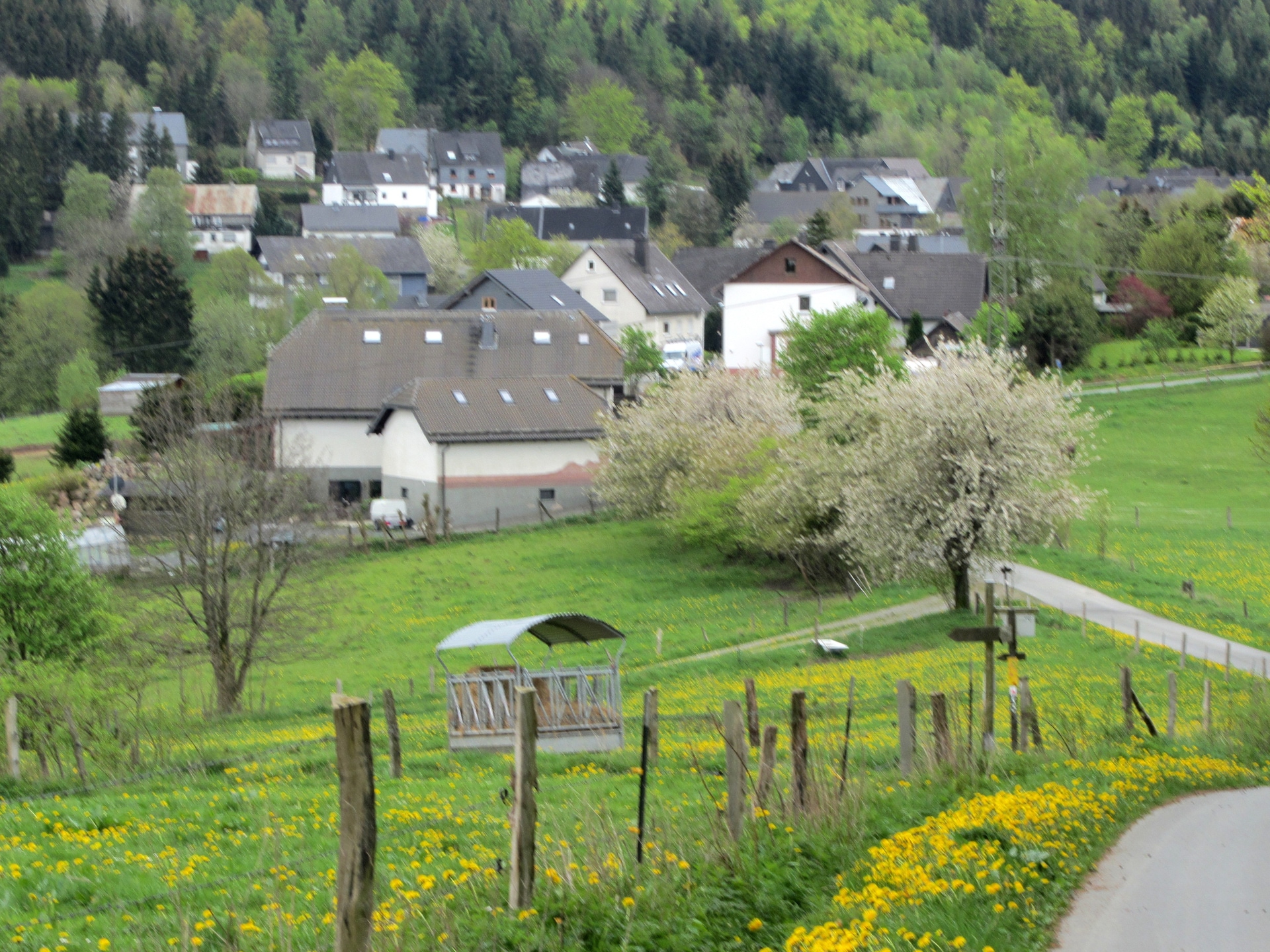 13-persoons luxe villa in Medebach Küstelberg nabij de piste - foto 33