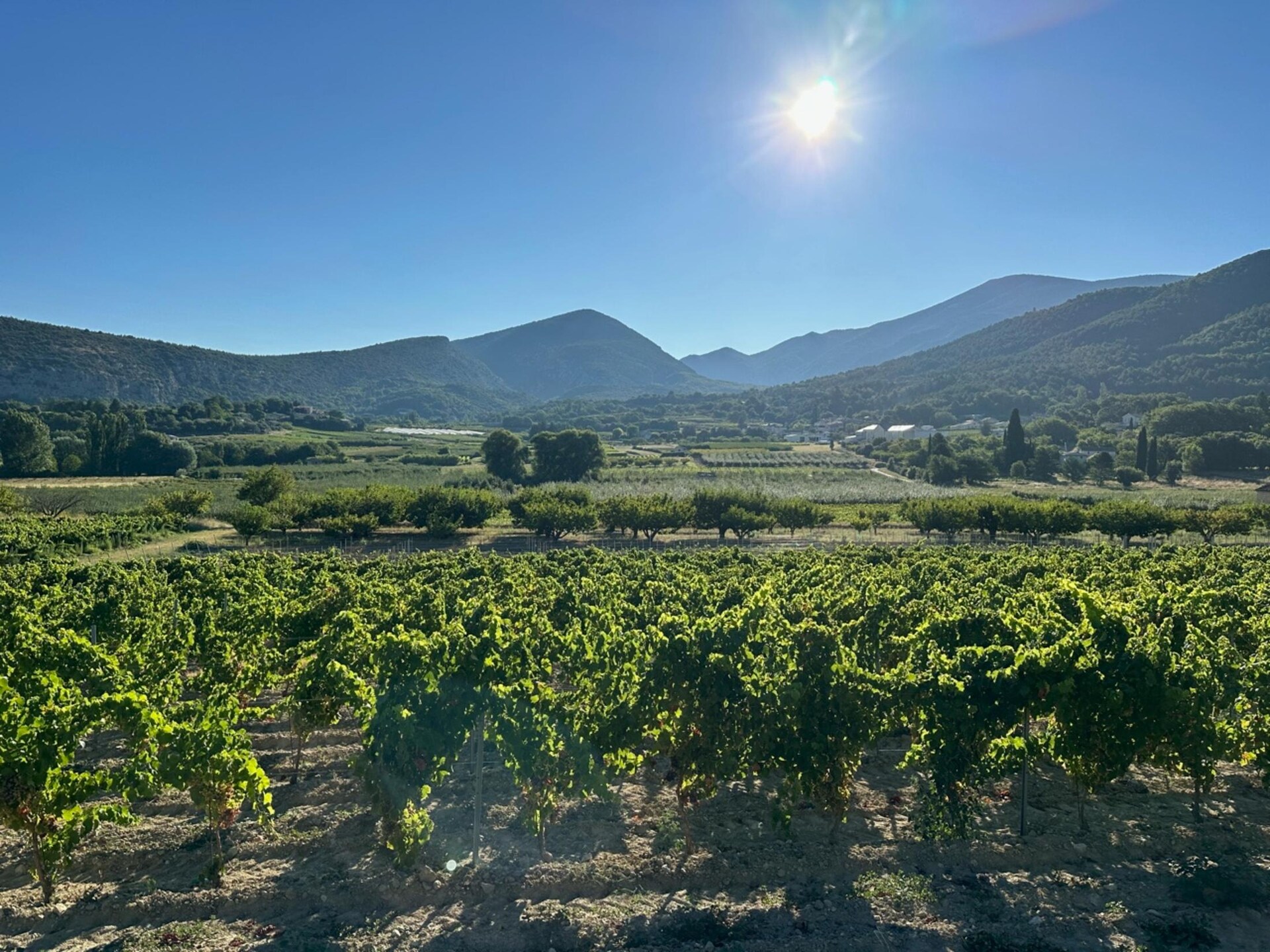 Villa Provatoux: verwarmd zwembad aan de voet van de Mont Ventoux - foto 27