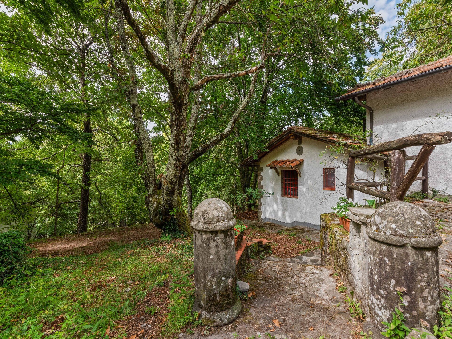 Loggetta: rustig vakantiehuis met zwembad in Toscaans bos bij Pistoia - foto 9