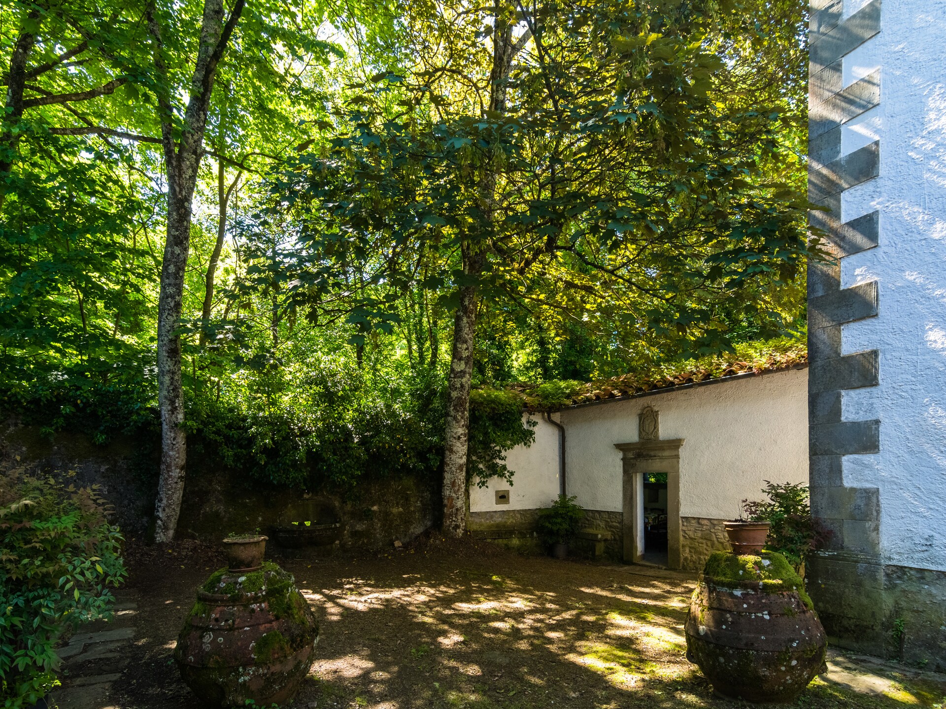 Privézwembad en rust in l' Antica Casa, Migliorini - foto 34