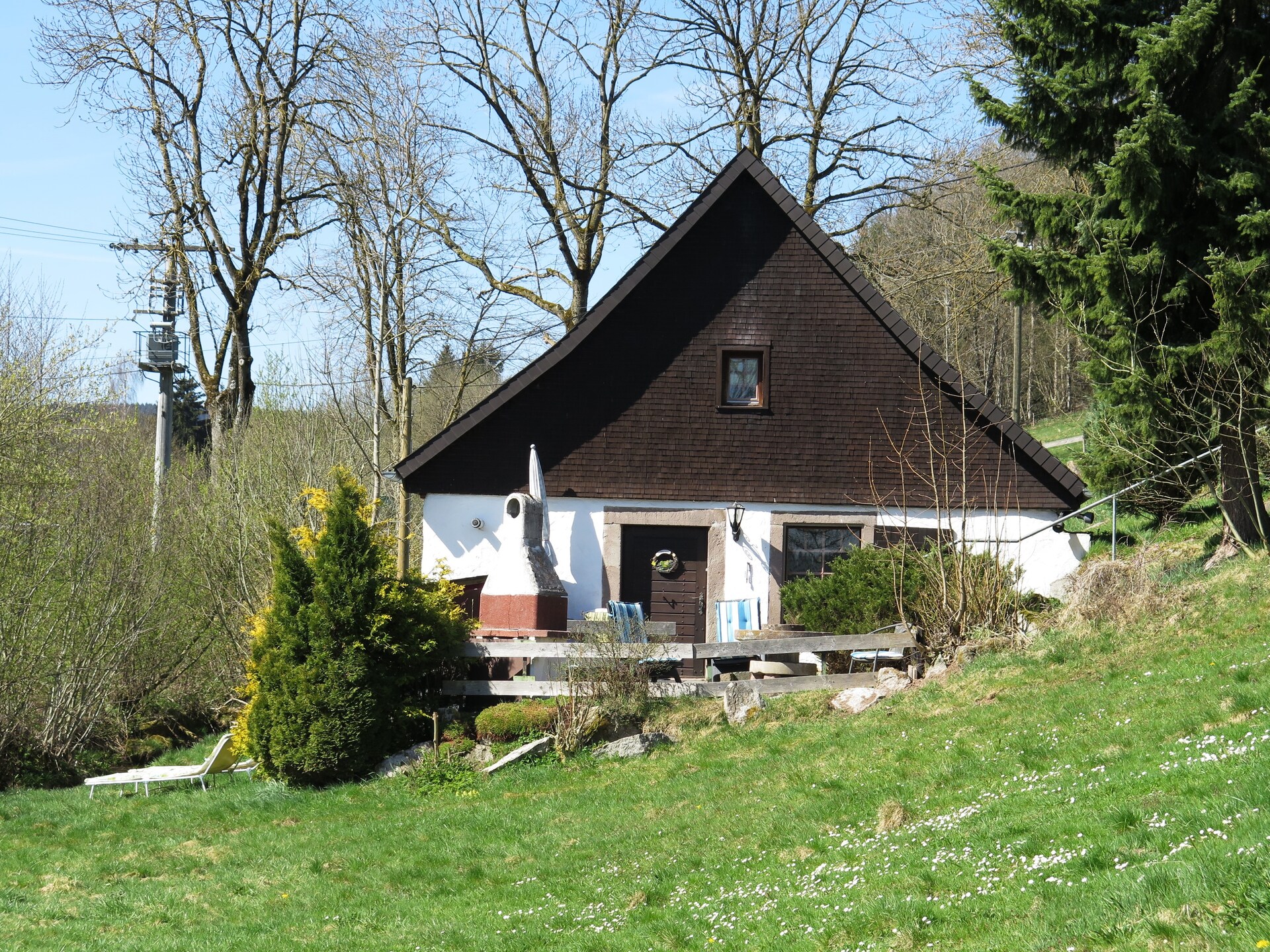 Historisch molenhuis aan de Brigach met uitzicht op het Zwarte Woud - foto 1