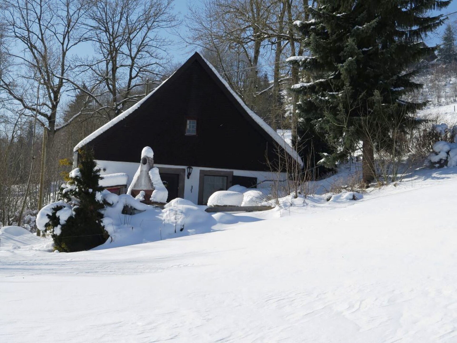 Historisch molenhuis aan de Brigach met uitzicht op het Zwarte Woud - foto 40
