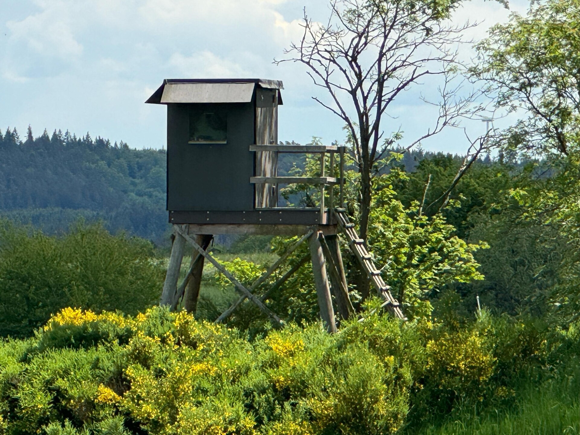 Groepshuis Eifel: 42-persoons vakantiehuis in het bos bij Schleiden - foto 35