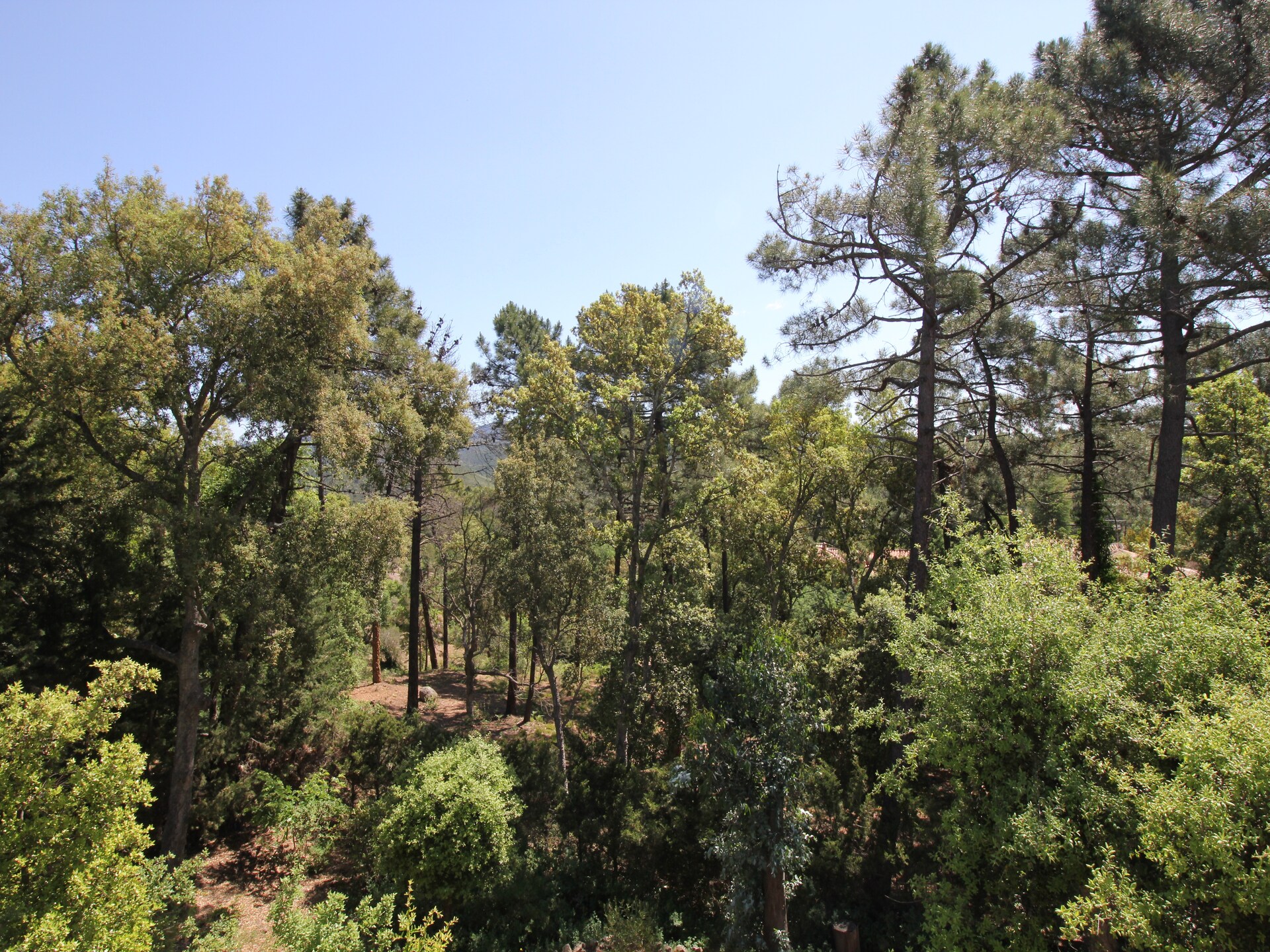 Vrijstaand vakantiehuis Le Capitou: rust in het groen van Fréjus, Côte d'Azur - foto 9