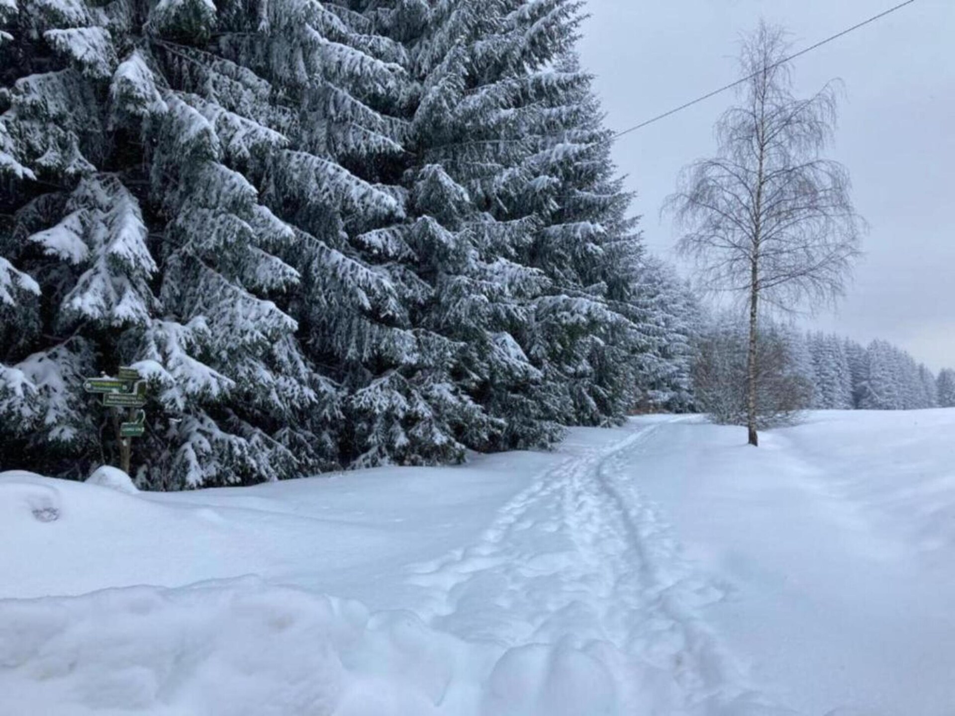 Vrijstaand boshuis in Altenfeld met tuin, vlakbij skilift en Rennsteig - foto 32