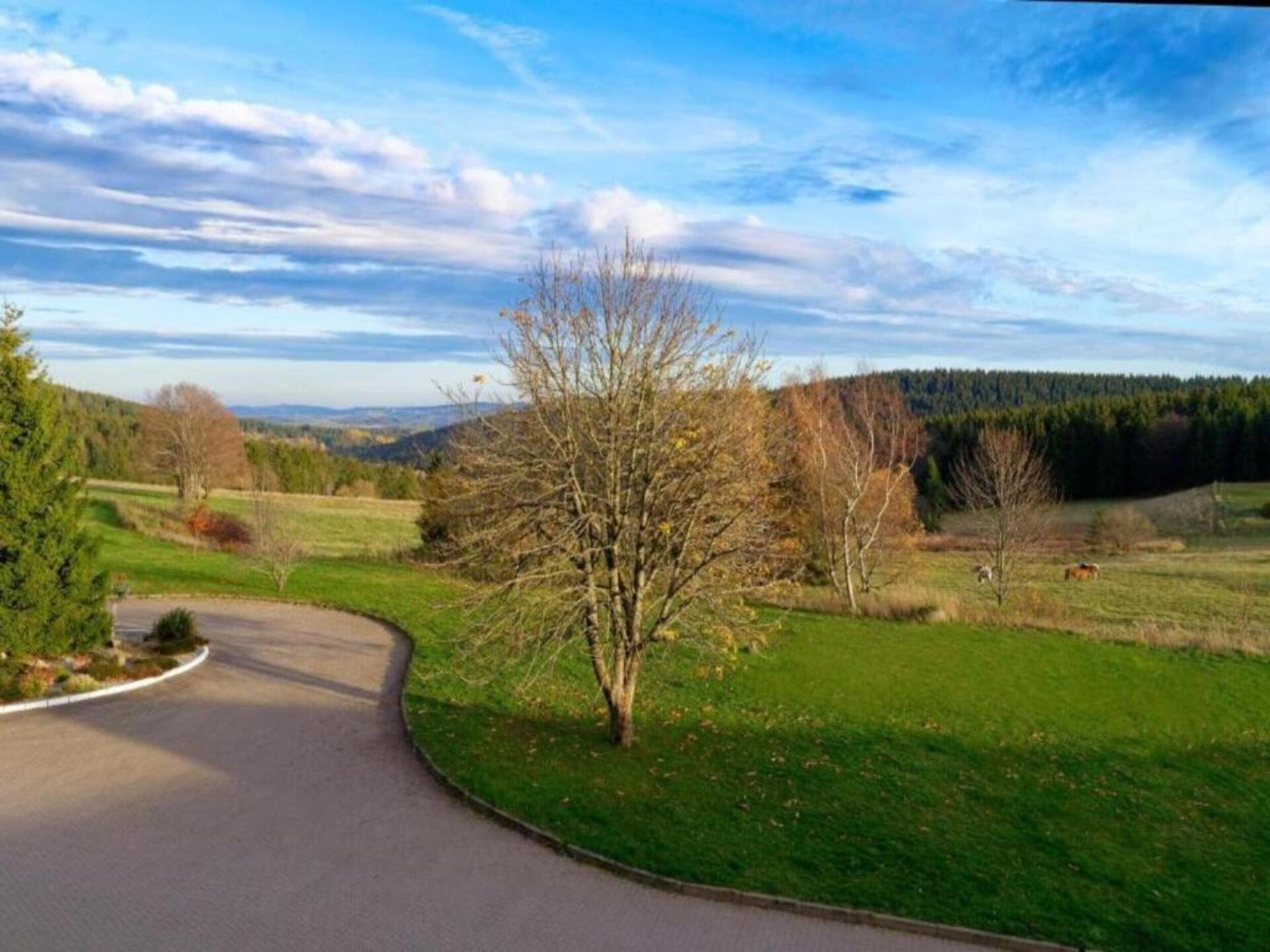 Vrijstaand boshuis in Altenfeld met tuin, vlakbij skilift en Rennsteig - foto 28