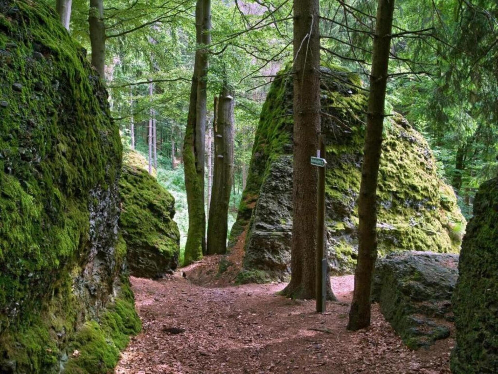 Vrijstaand boshuis in Altenfeld met tuin, vlakbij skilift en Rennsteig - foto 27