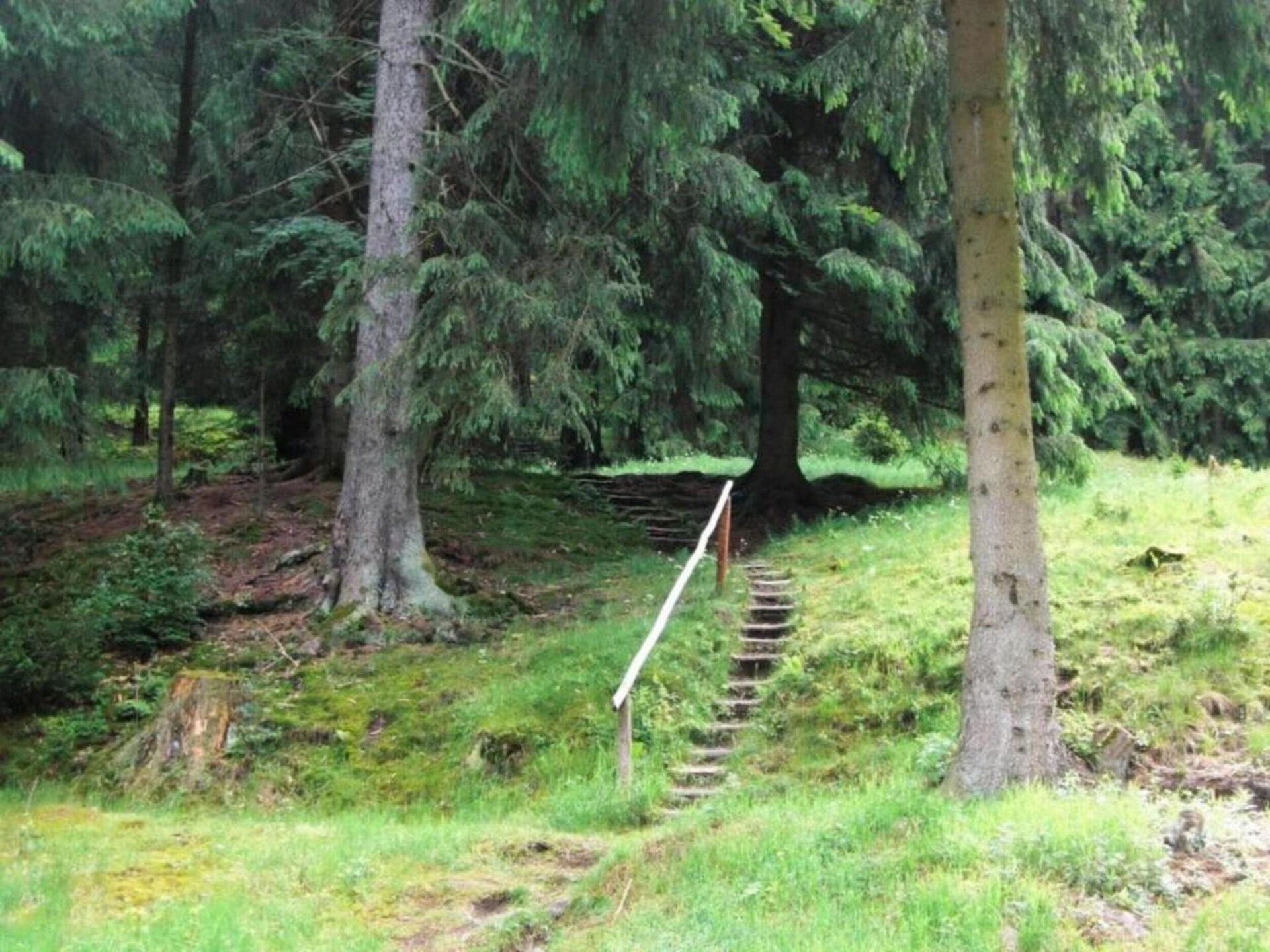 Vrijstaand boshuis in Altenfeld met tuin, vlakbij skilift en Rennsteig - foto 30