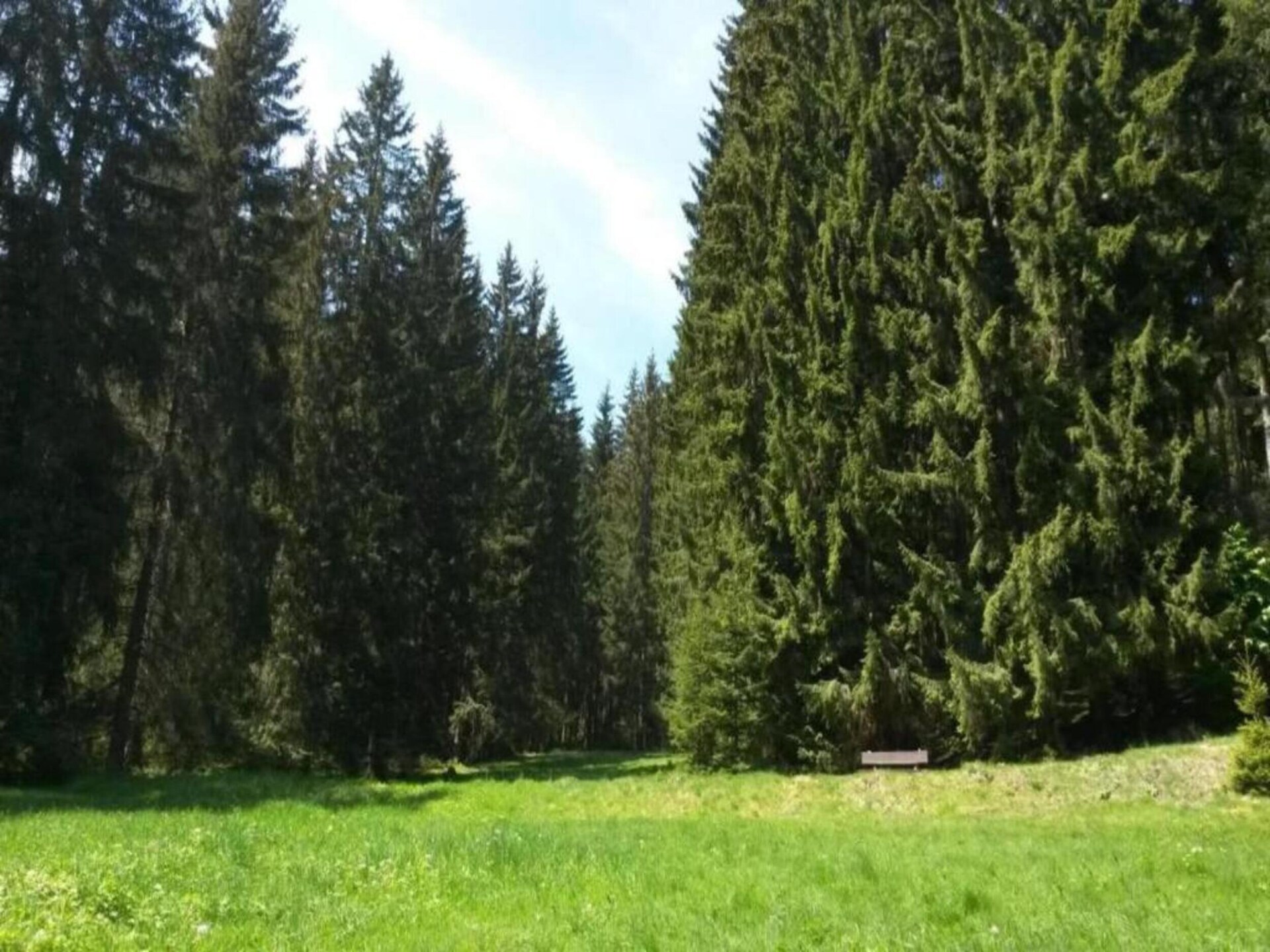 Vrijstaand boshuis in Altenfeld met tuin, vlakbij skilift en Rennsteig - foto 24