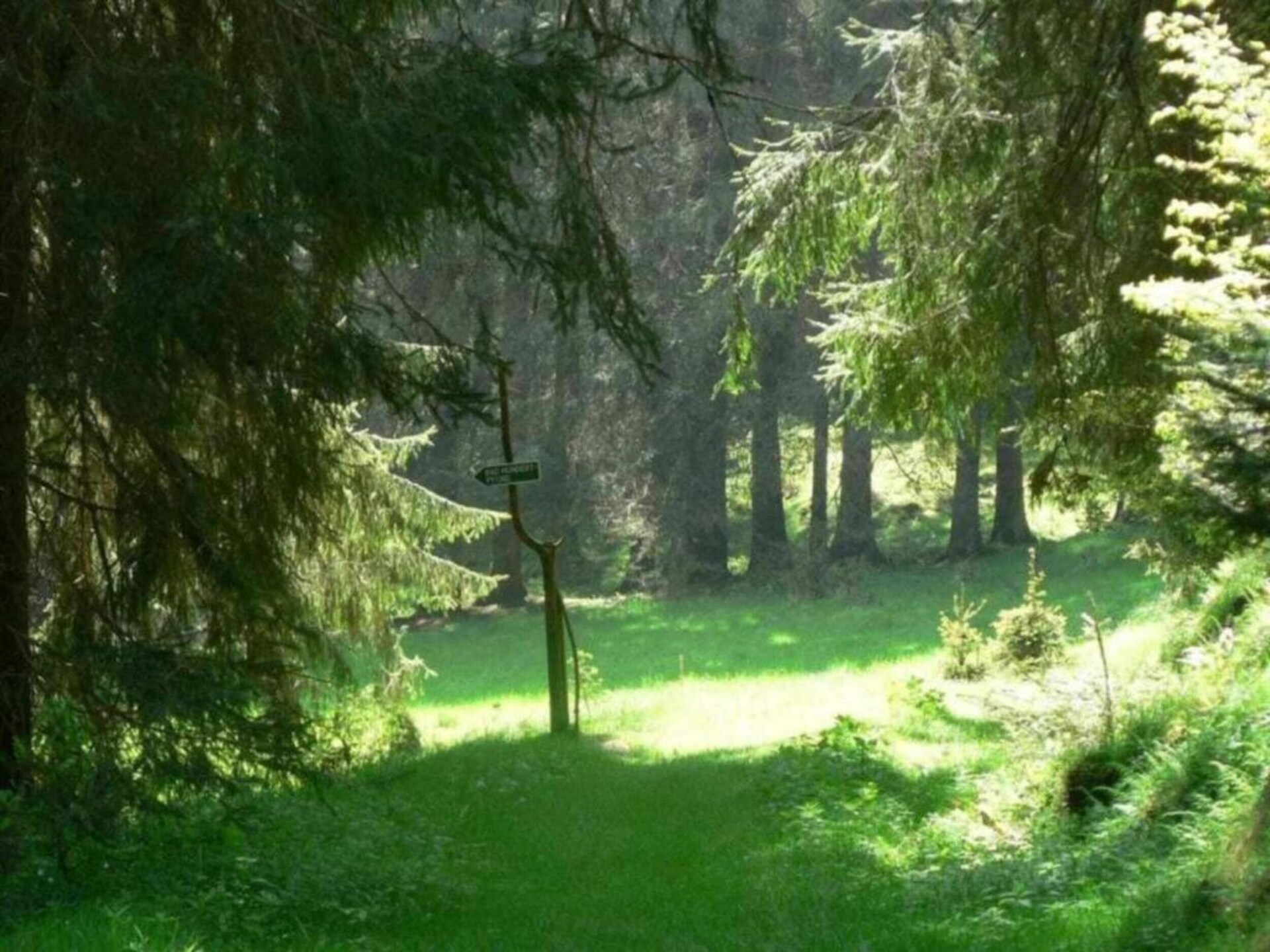 Vrijstaand boshuis in Altenfeld met tuin, vlakbij skilift en Rennsteig - foto 25