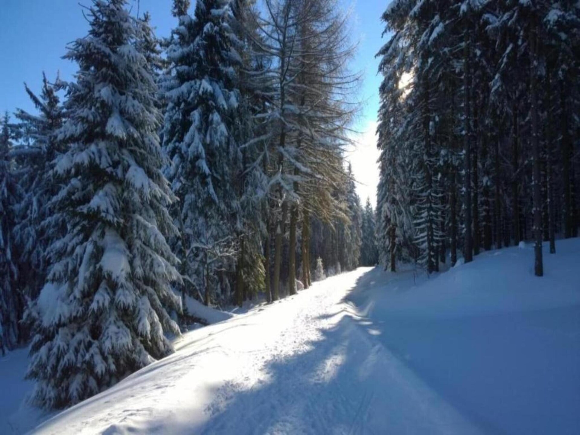 Vrijstaand boshuis in Altenfeld met tuin, vlakbij skilift en Rennsteig - foto 33