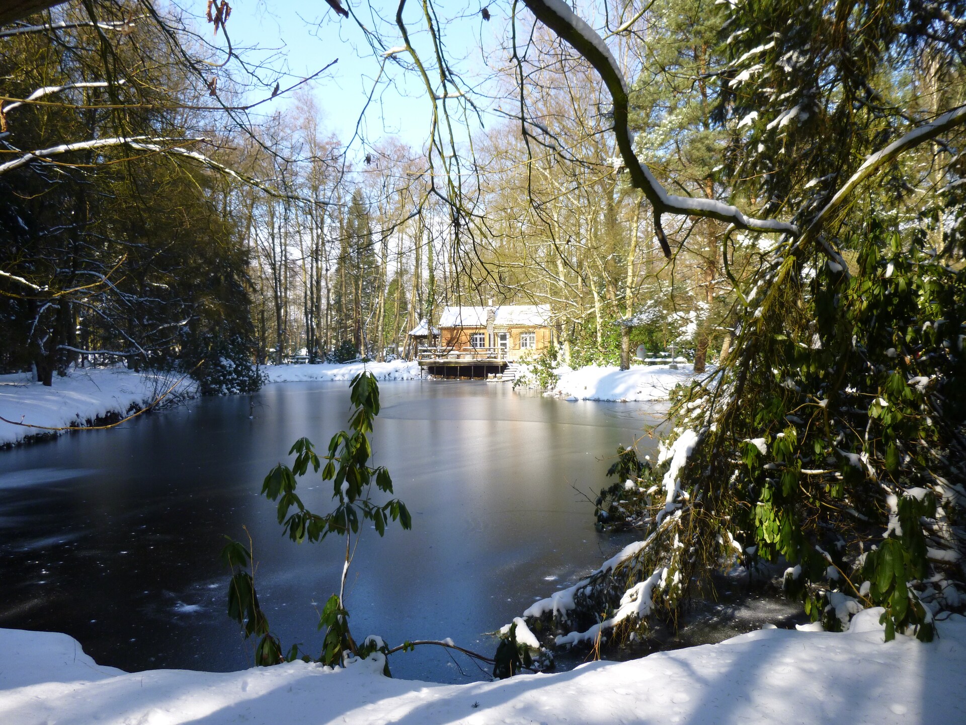 Boschalet aan het water met eigen visstek in Opglabbeek - foto 33
