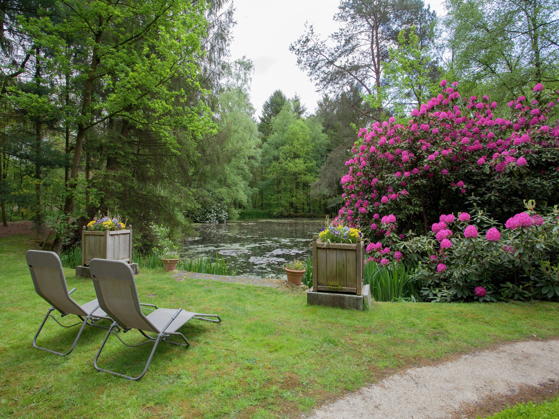 Boschalet aan het water met eigen visstek in Opglabbeek - foto 20