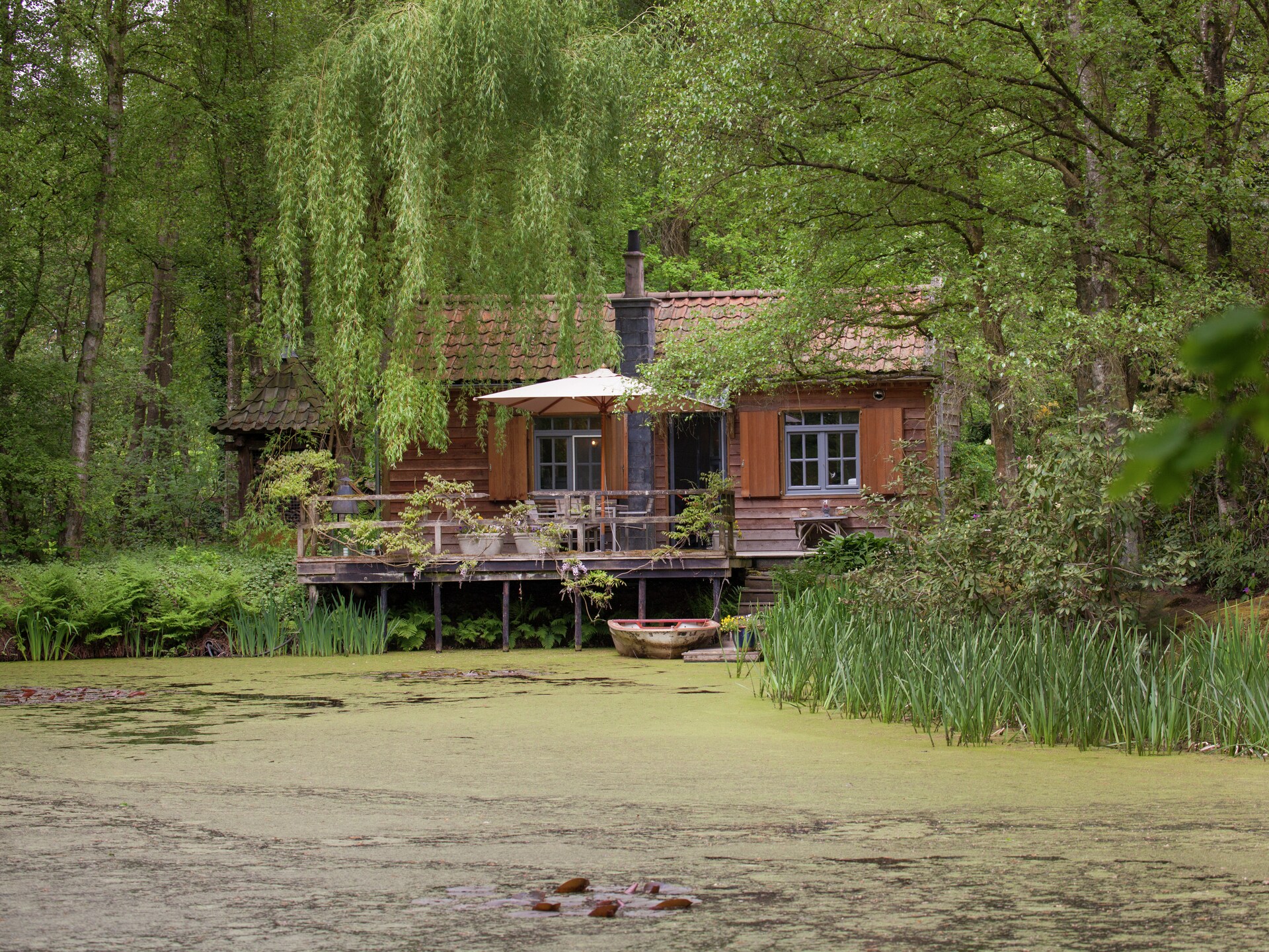 Boschalet aan het water met eigen visstek in Opglabbeek - foto 1