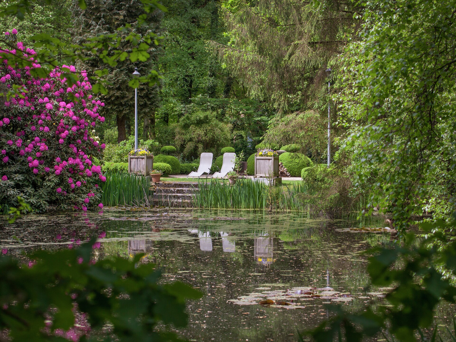 Boschalet aan het water met eigen visstek in Opglabbeek - foto 29