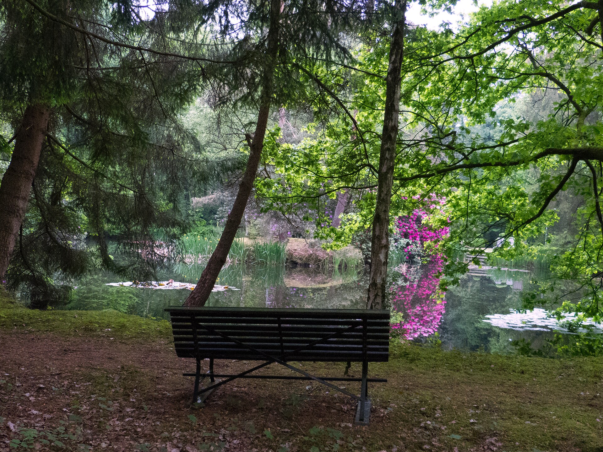 Boschalet aan het water met eigen visstek in Opglabbeek - foto 19