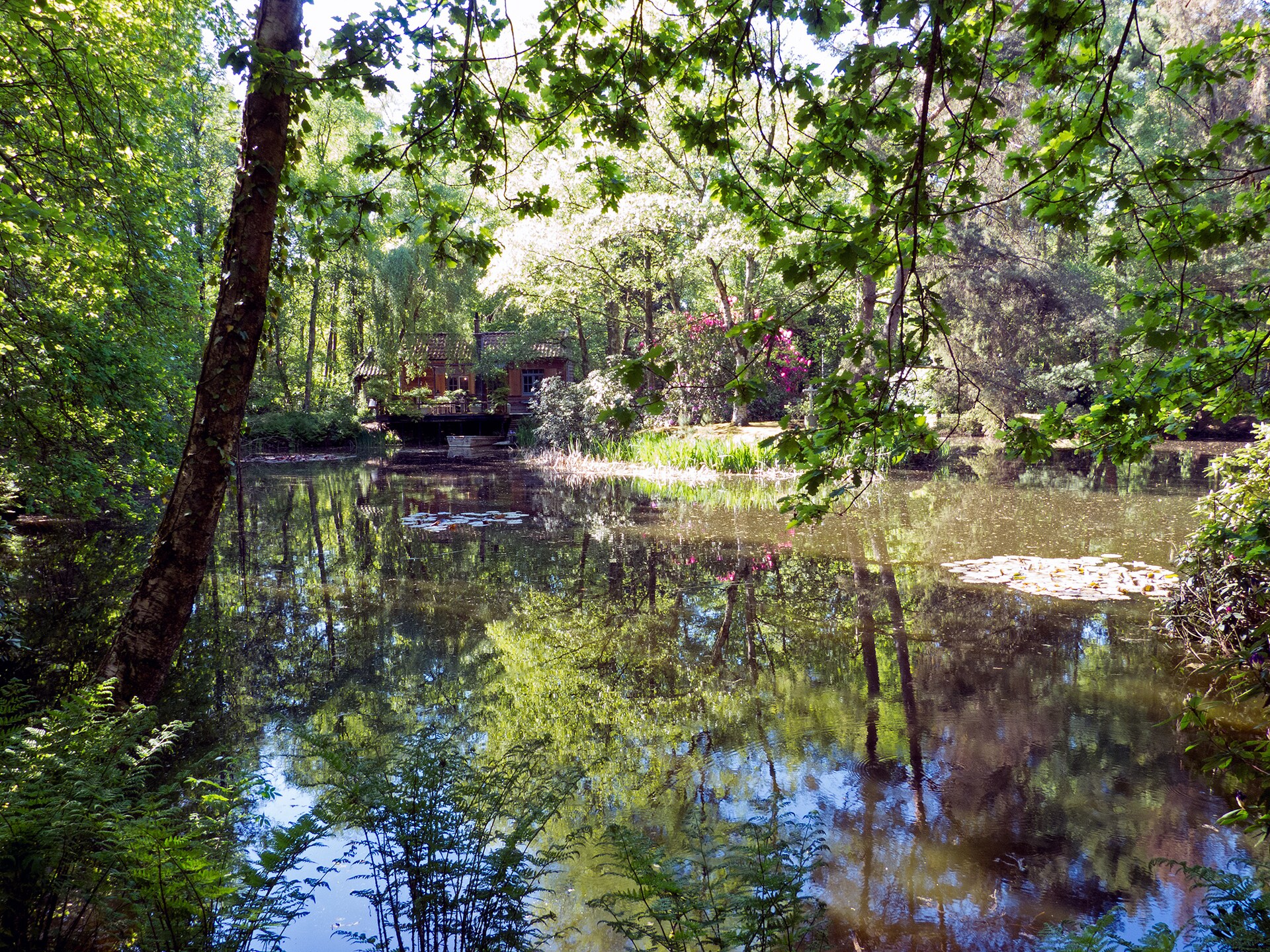 Boschalet aan het water met eigen visstek in Opglabbeek - foto 11