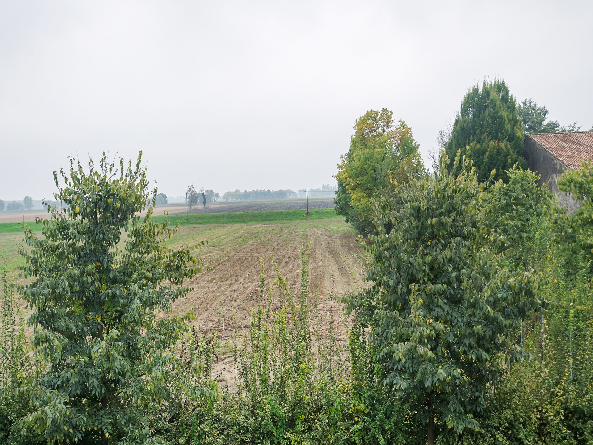 Landhuis La Villetta in Stagno Lombardo met privétuin en bubbelbad - foto 35