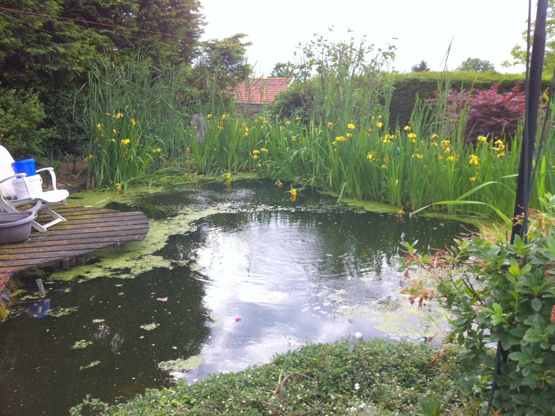 Gezellig vakantiehuis met zwembad in het kleinste bergdorp van Nederland - foto 24