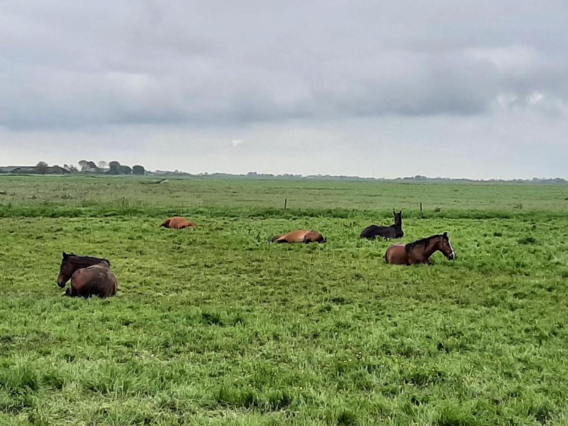 Enkhuizen: sfeervol vakantiehuis in hartje vissersdorp Zoutkamp - foto 21
