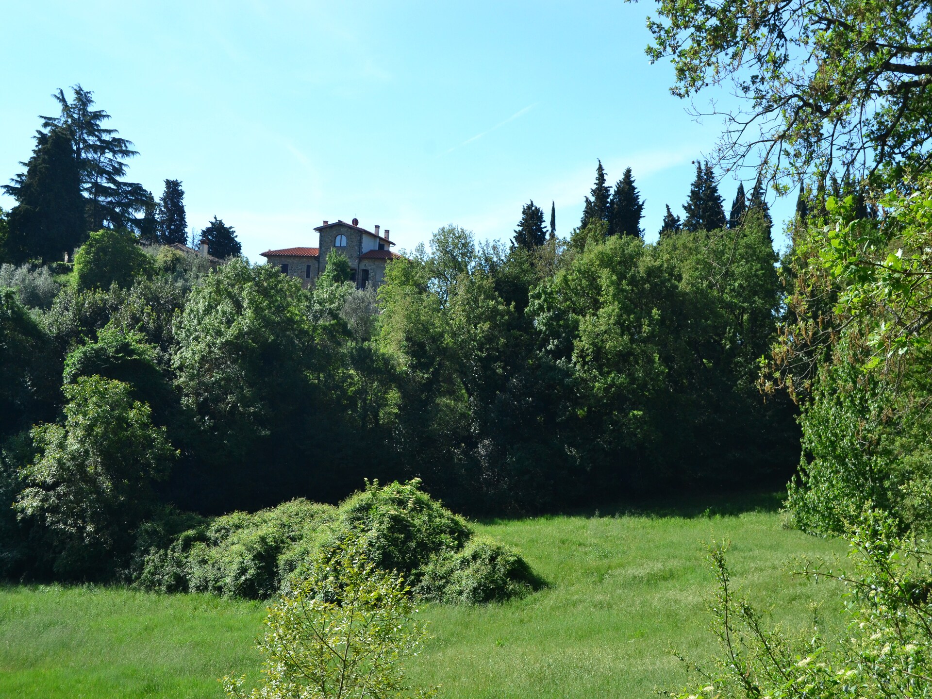 Canaiolo: Bosrijk appartement bij het meer voor 4 personen in Figline Valdarno - foto 21