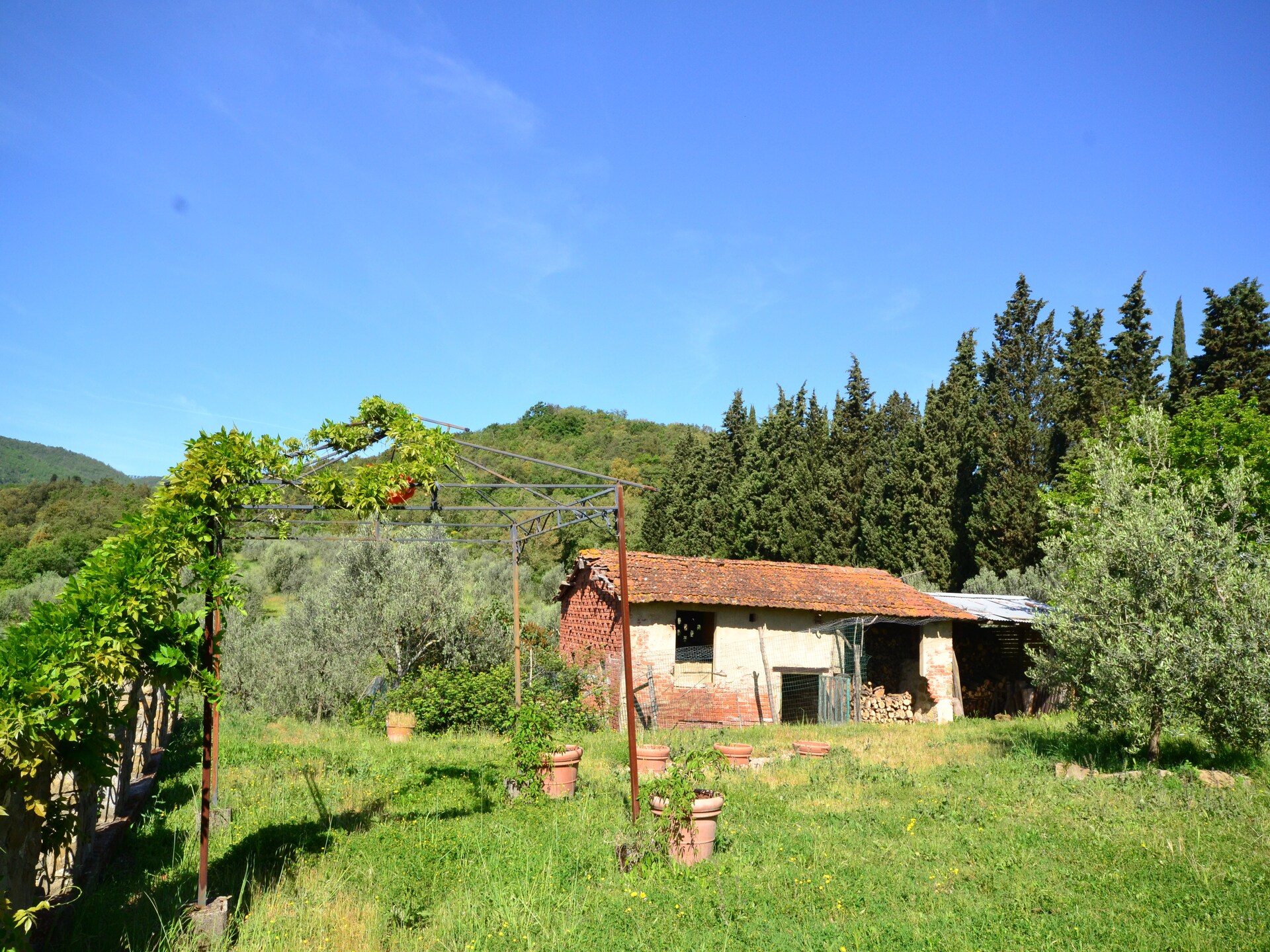 Canaiolo: Bosrijk appartement bij het meer voor 4 personen in Figline Valdarno - foto 16