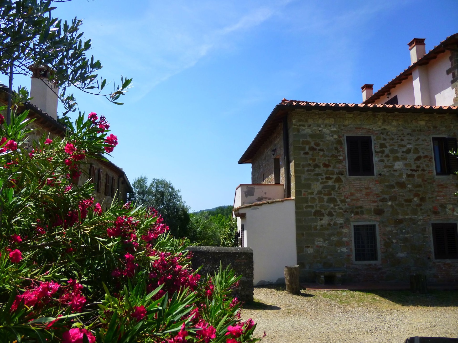 Canaiolo: Bosrijk appartement bij het meer voor 4 personen in Figline Valdarno - foto 6