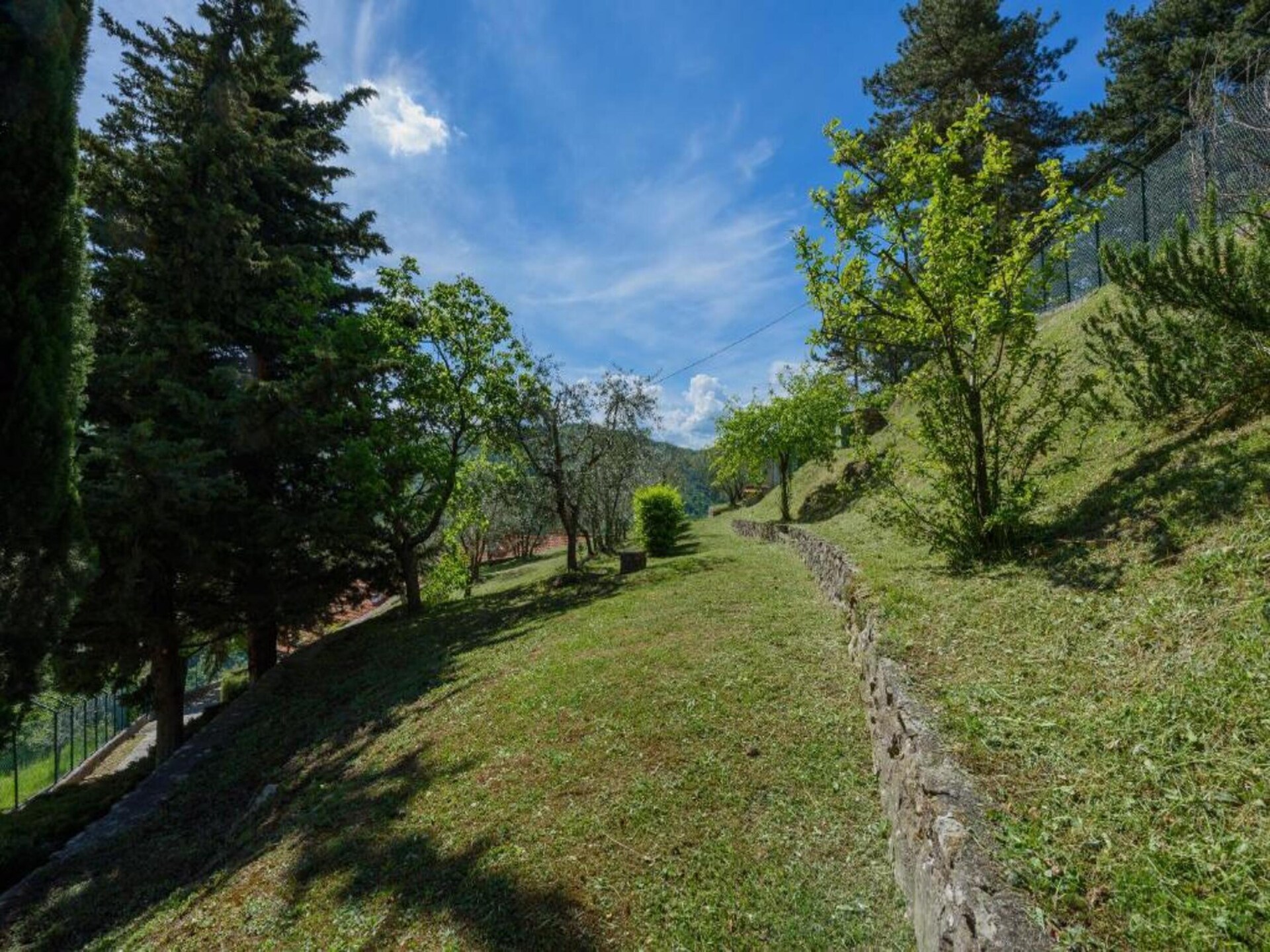 Canaiolo: Bosrijk appartement bij het meer voor 4 personen in Figline Valdarno - foto 29