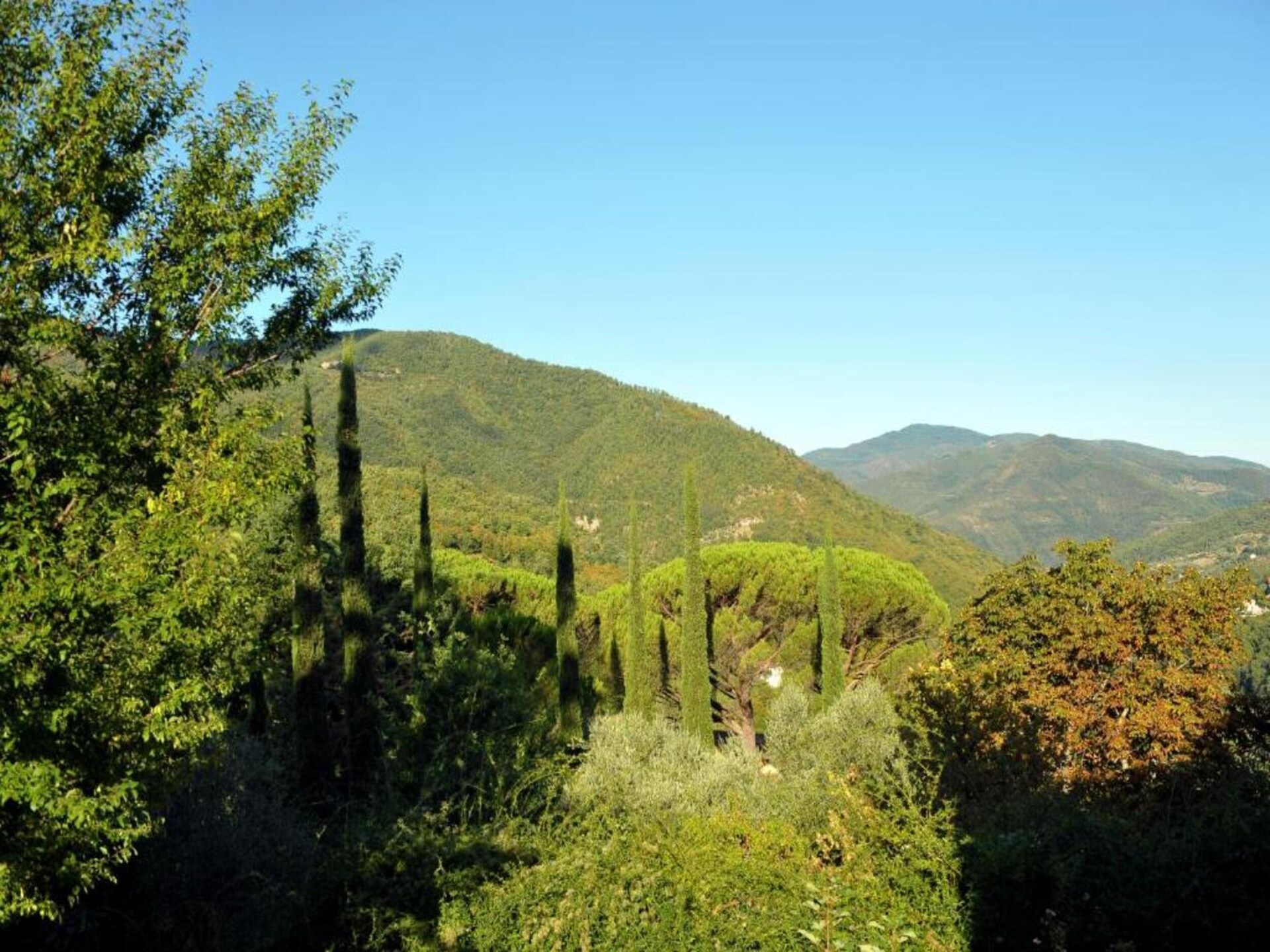 Canaiolo: Bosrijk appartement bij het meer voor 4 personen in Figline Valdarno - foto 33