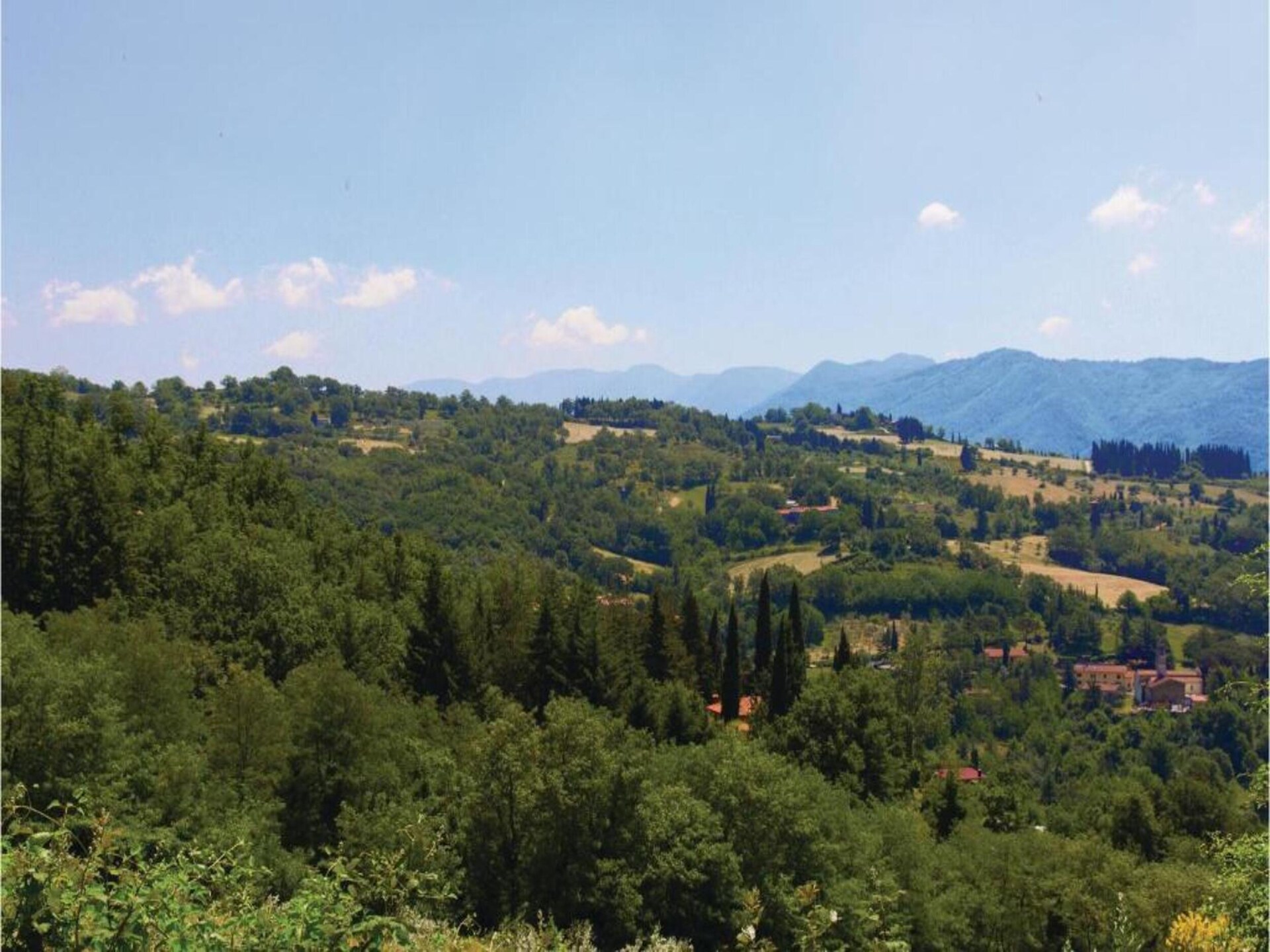 Canaiolo: Bosrijk appartement bij het meer voor 4 personen in Figline Valdarno - foto 35