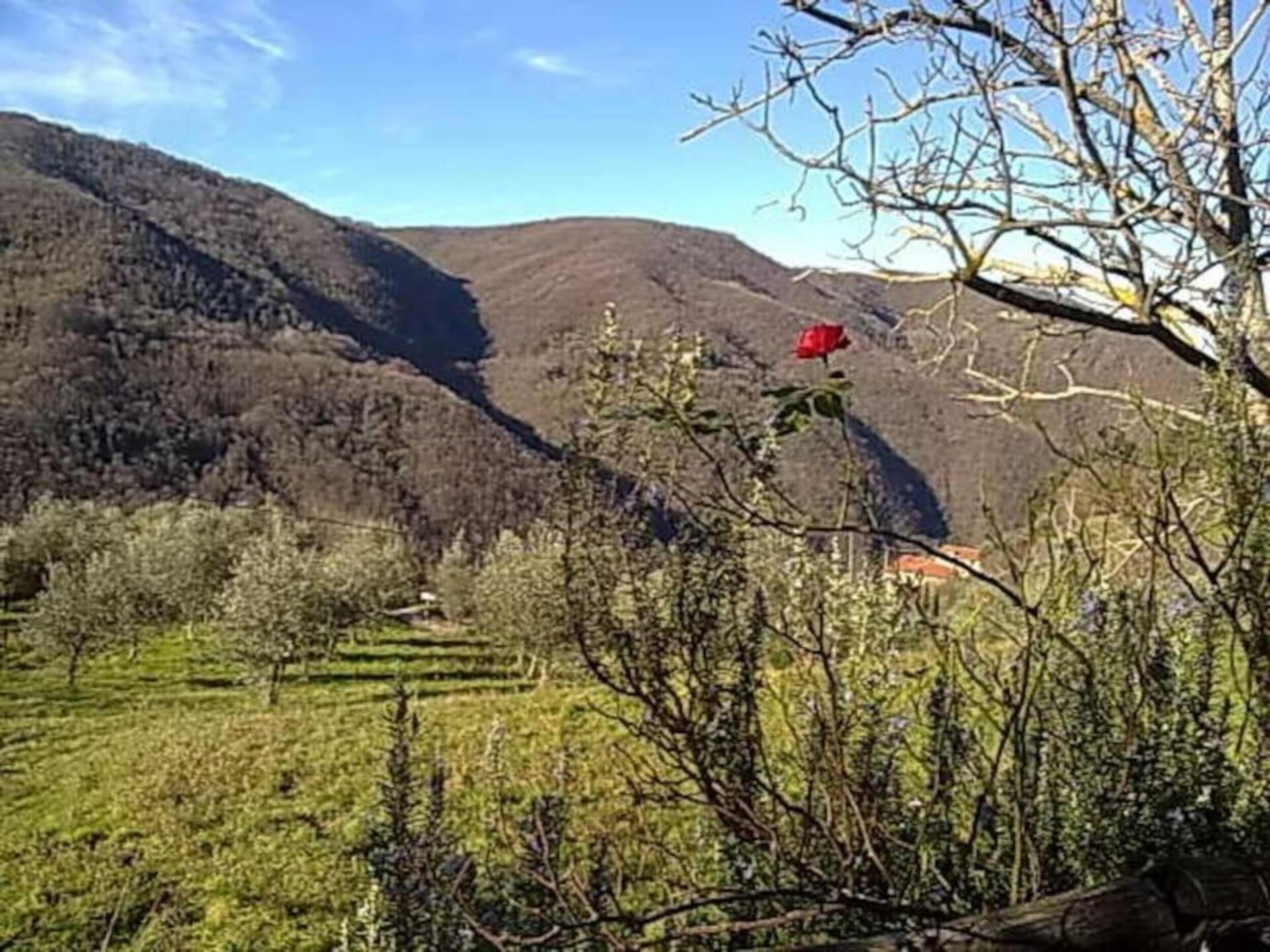 Canaiolo: Bosrijk appartement bij het meer voor 4 personen in Figline Valdarno - foto 38