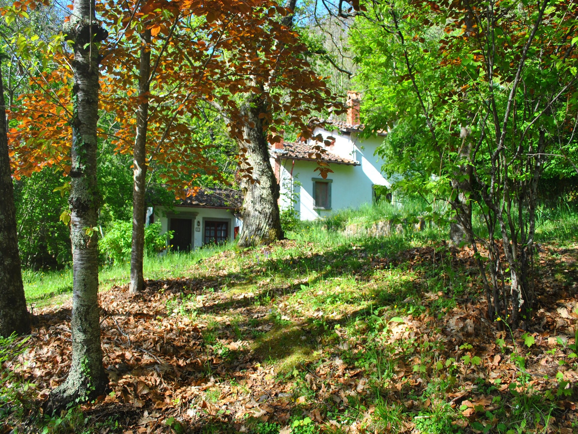 Vakantiehuis Due Camini in Migliorini: Rust en Natuur bij Pistoia - foto 31