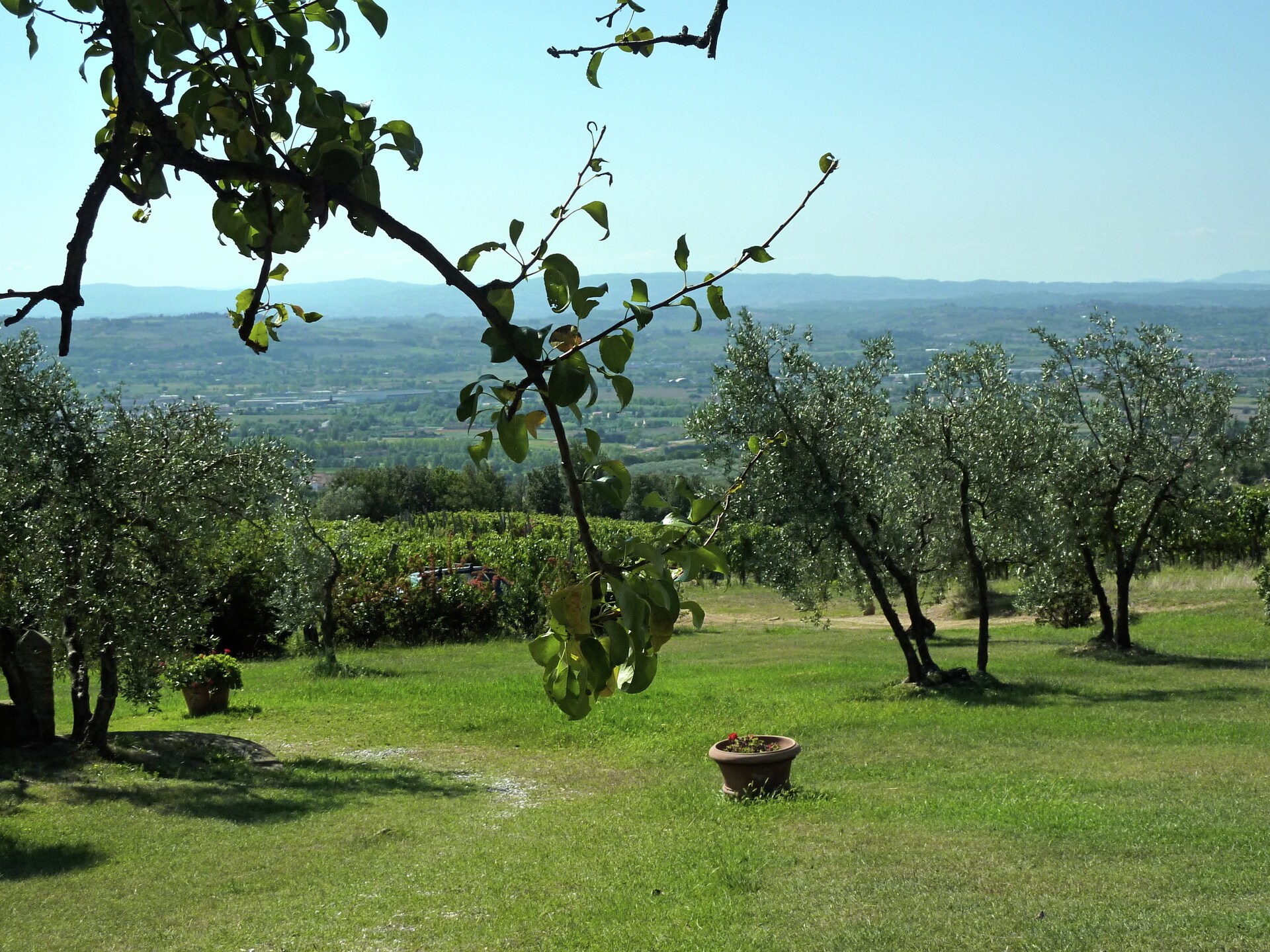 Authentiek Toscaans vakantiehuis tussen wijngaarden met panoramisch uitzicht - foto 23