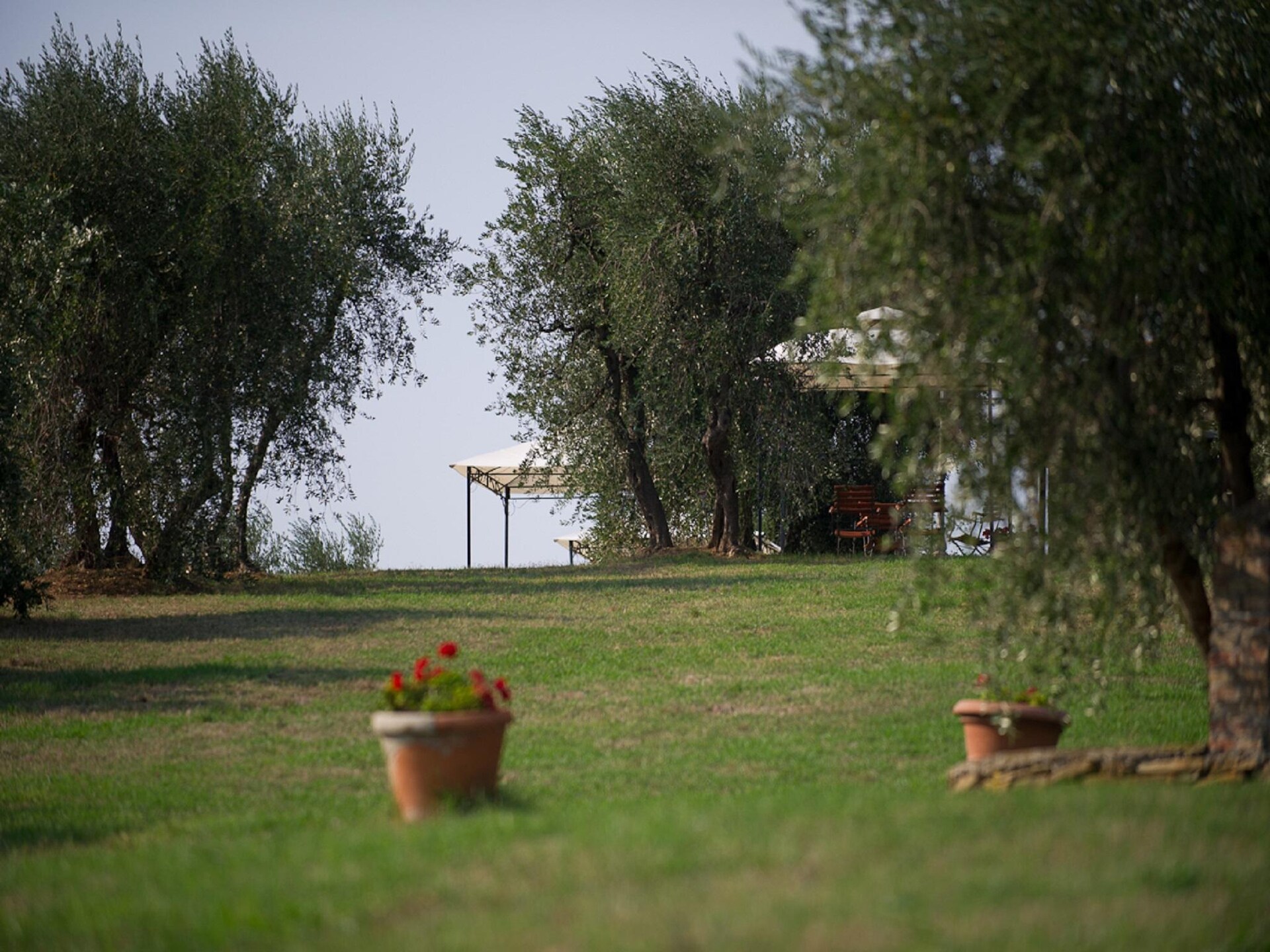 Authentiek Toscaans vakantiehuis tussen wijngaarden met panoramisch uitzicht - foto 37