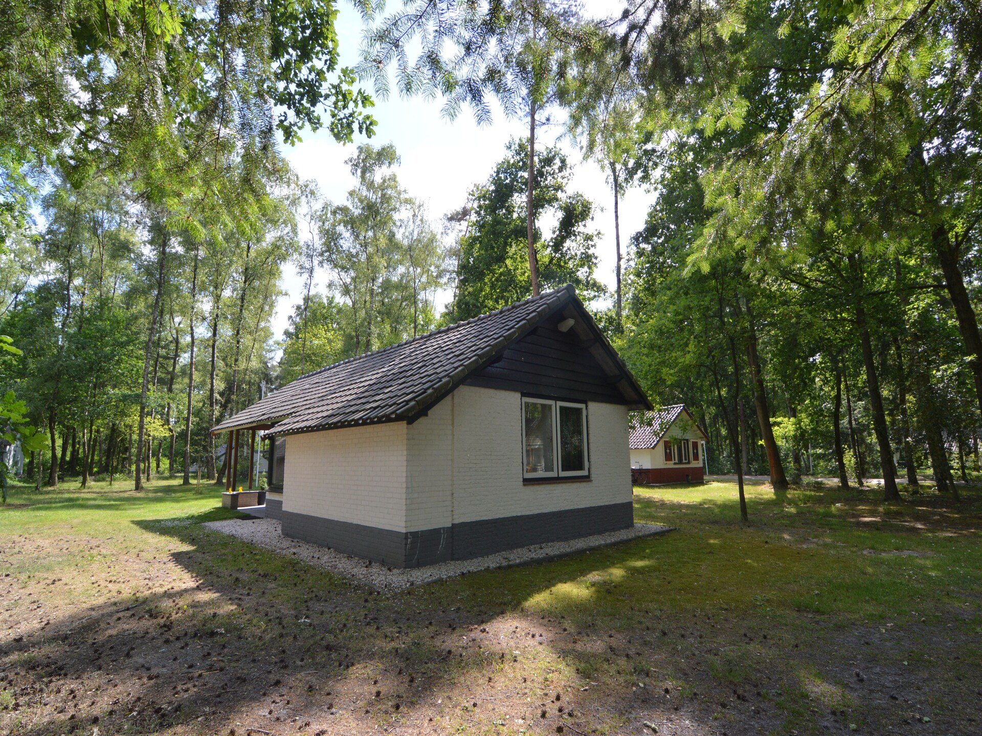 't Haasje: Knus vakantiehuis in natuurgebied Kempen-Broek - foto 18