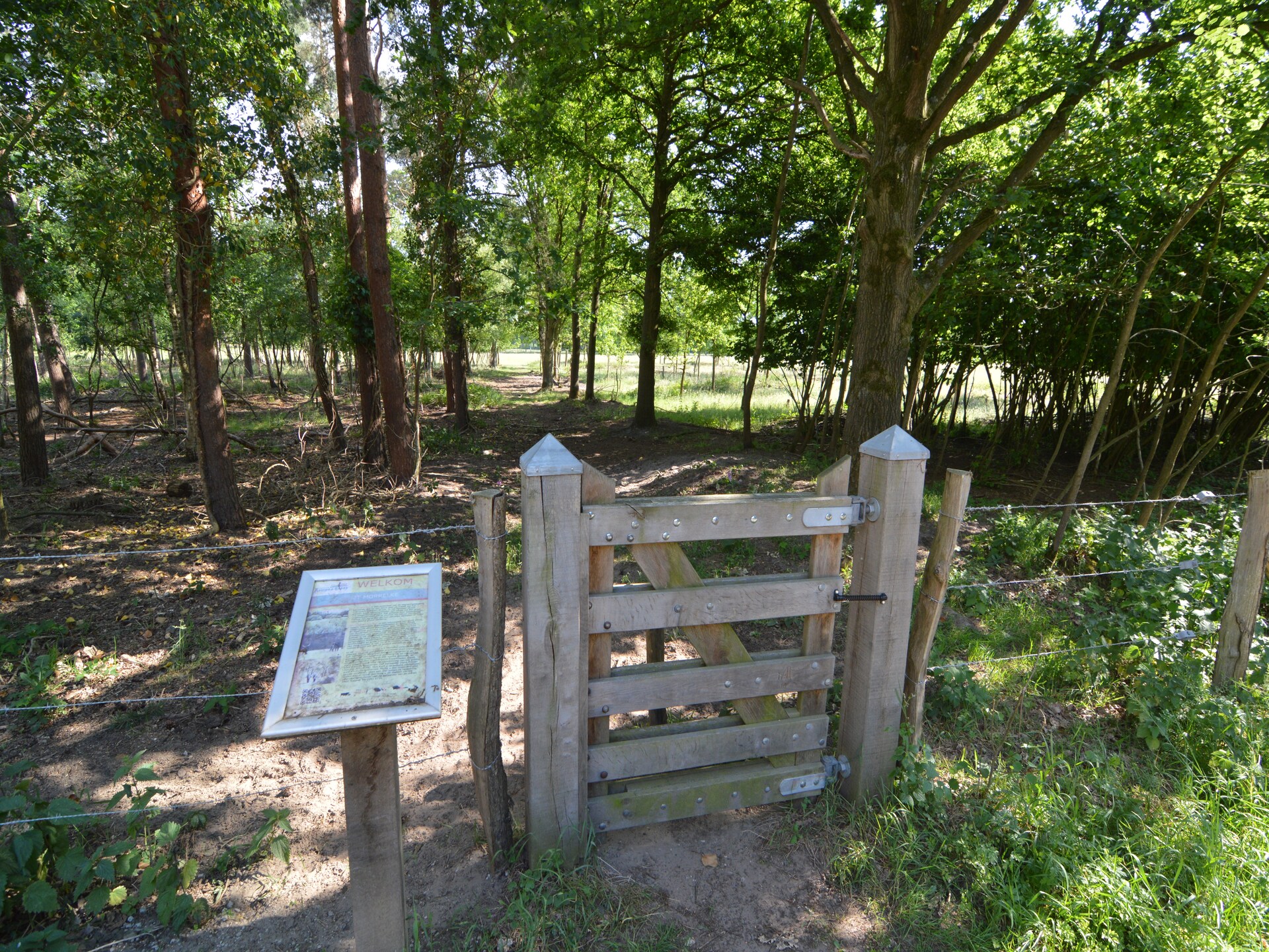 't Haasje: Knus vakantiehuis in natuurgebied Kempen-Broek - foto 29