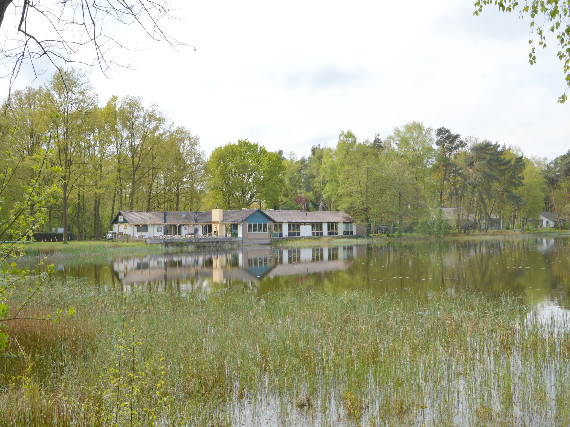 't Haasje: Knus vakantiehuis in natuurgebied Kempen-Broek - foto 28