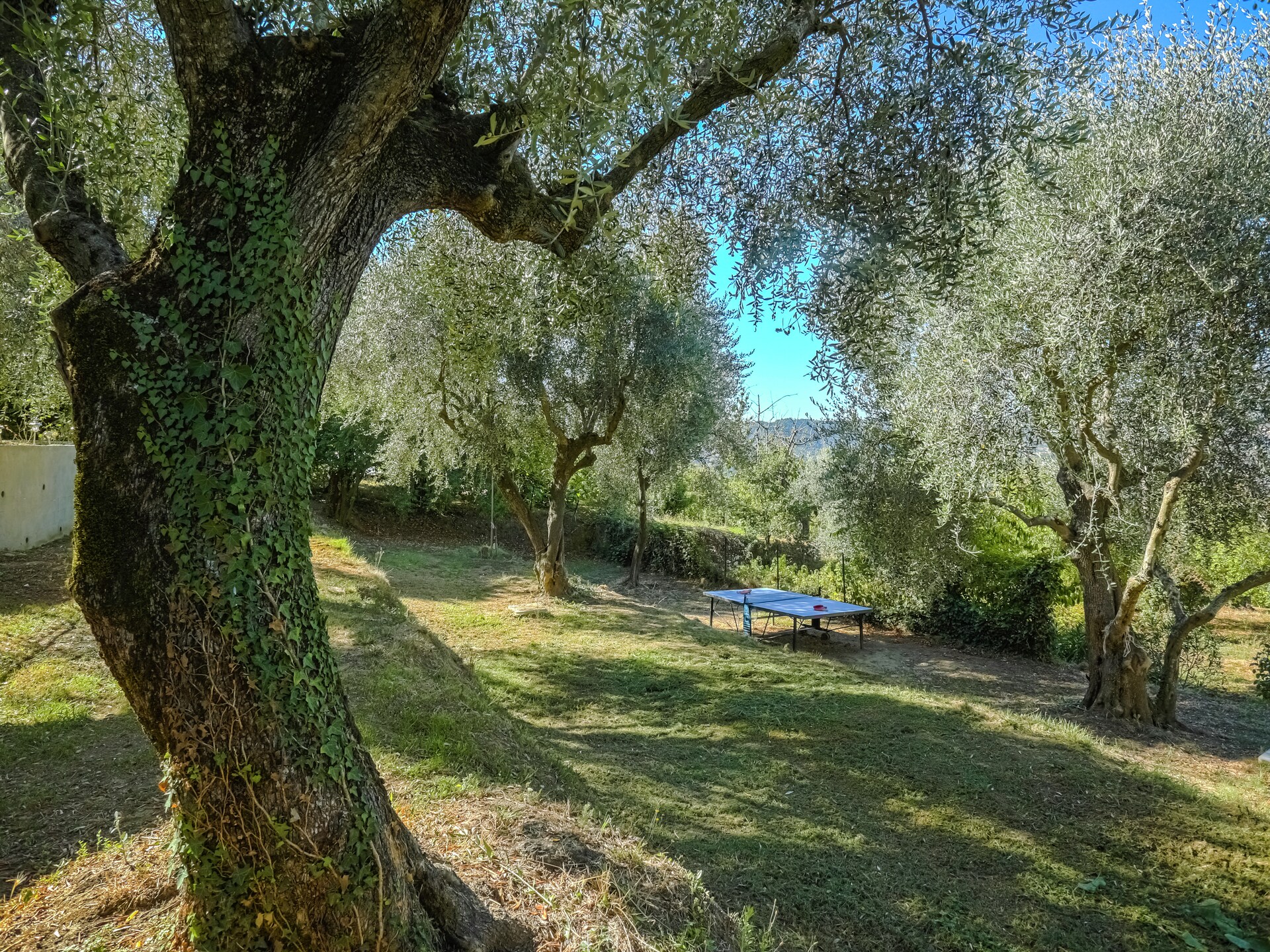La Bergerie: Sfeervol vakantiehuis in de Alpes-Maritimes met tuin en golf - foto 32